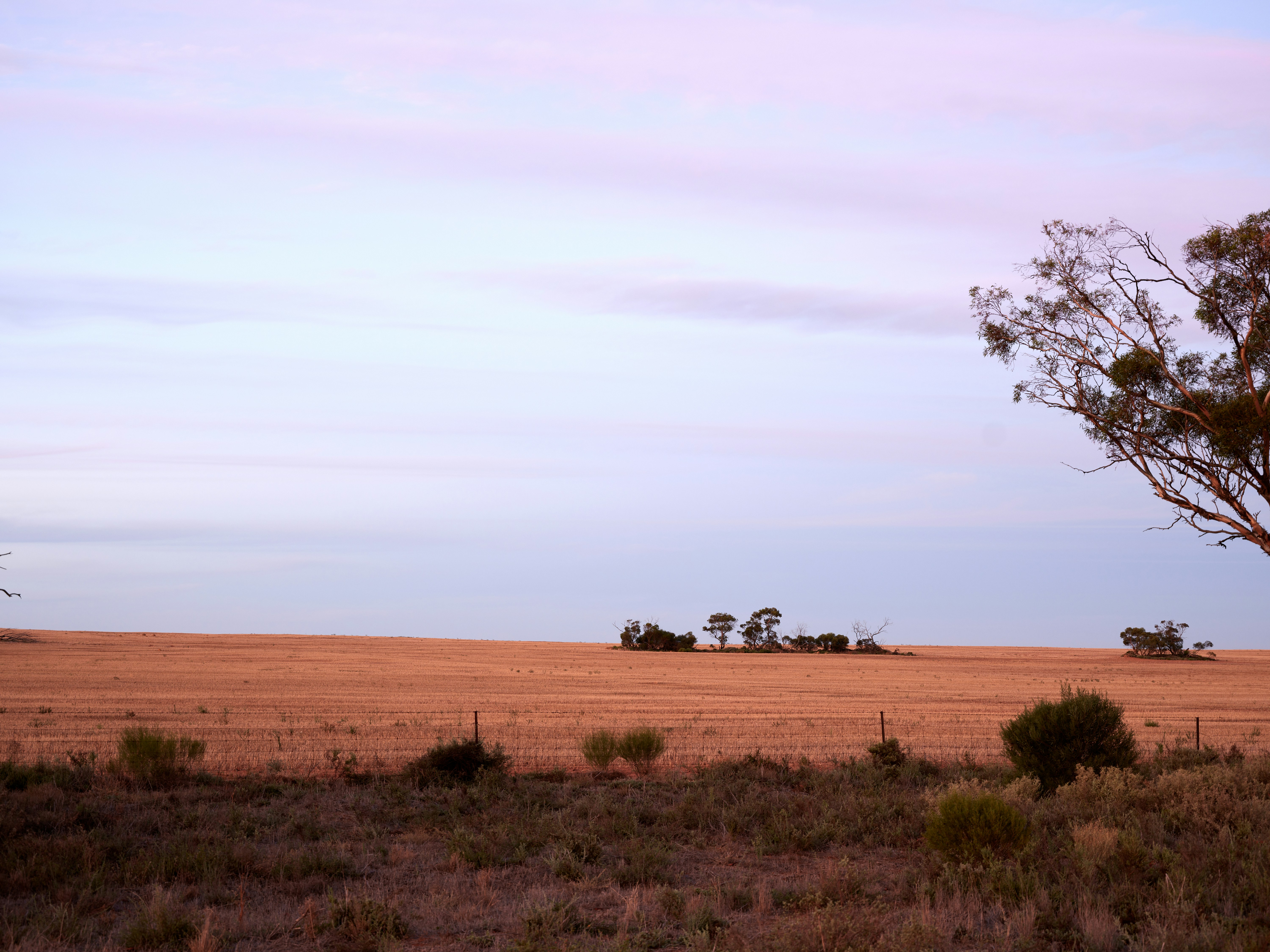 Photo by neonwangphotography