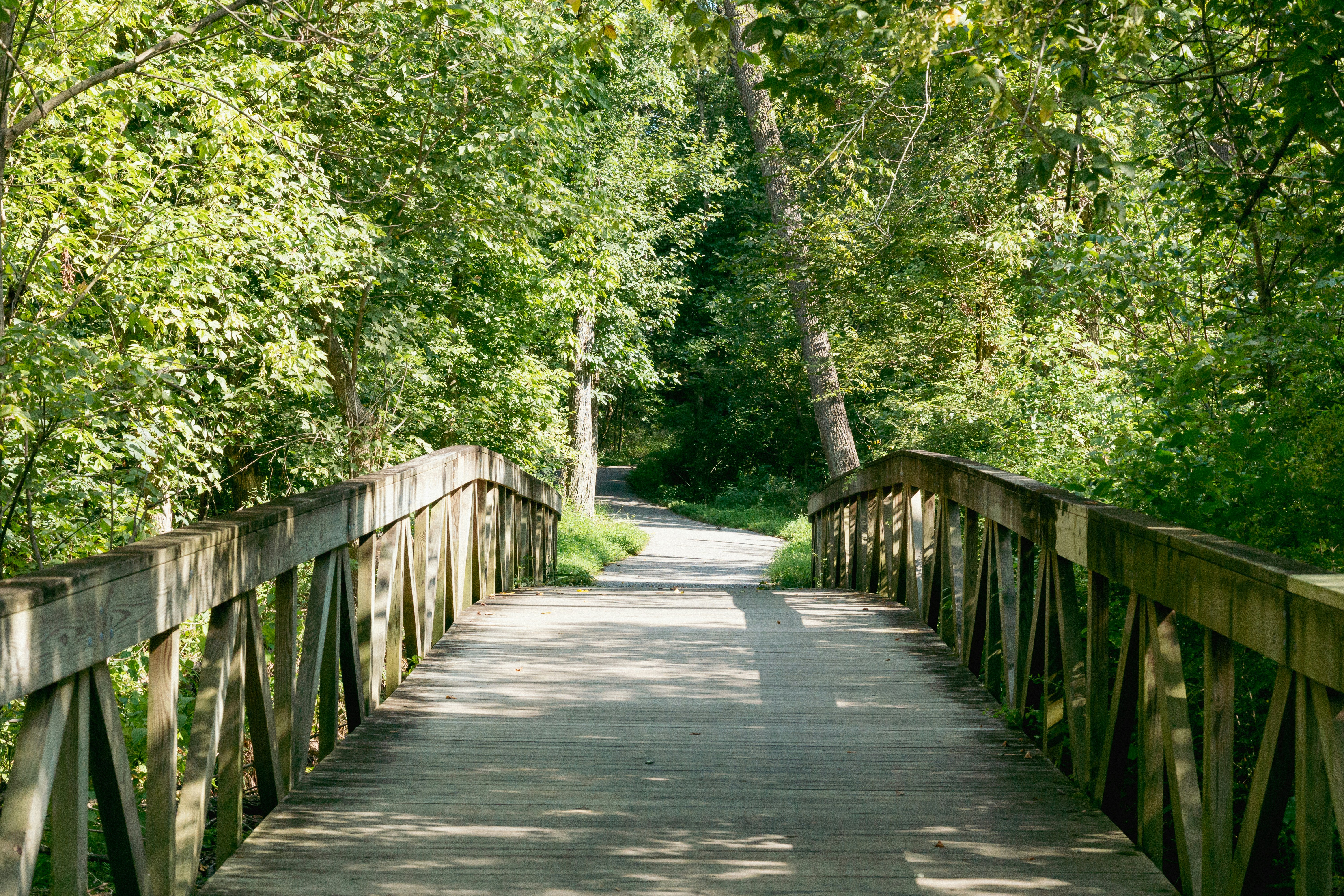 Photo by hirokonishimura