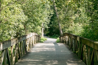 A wooden bridge leads to a path through trees.