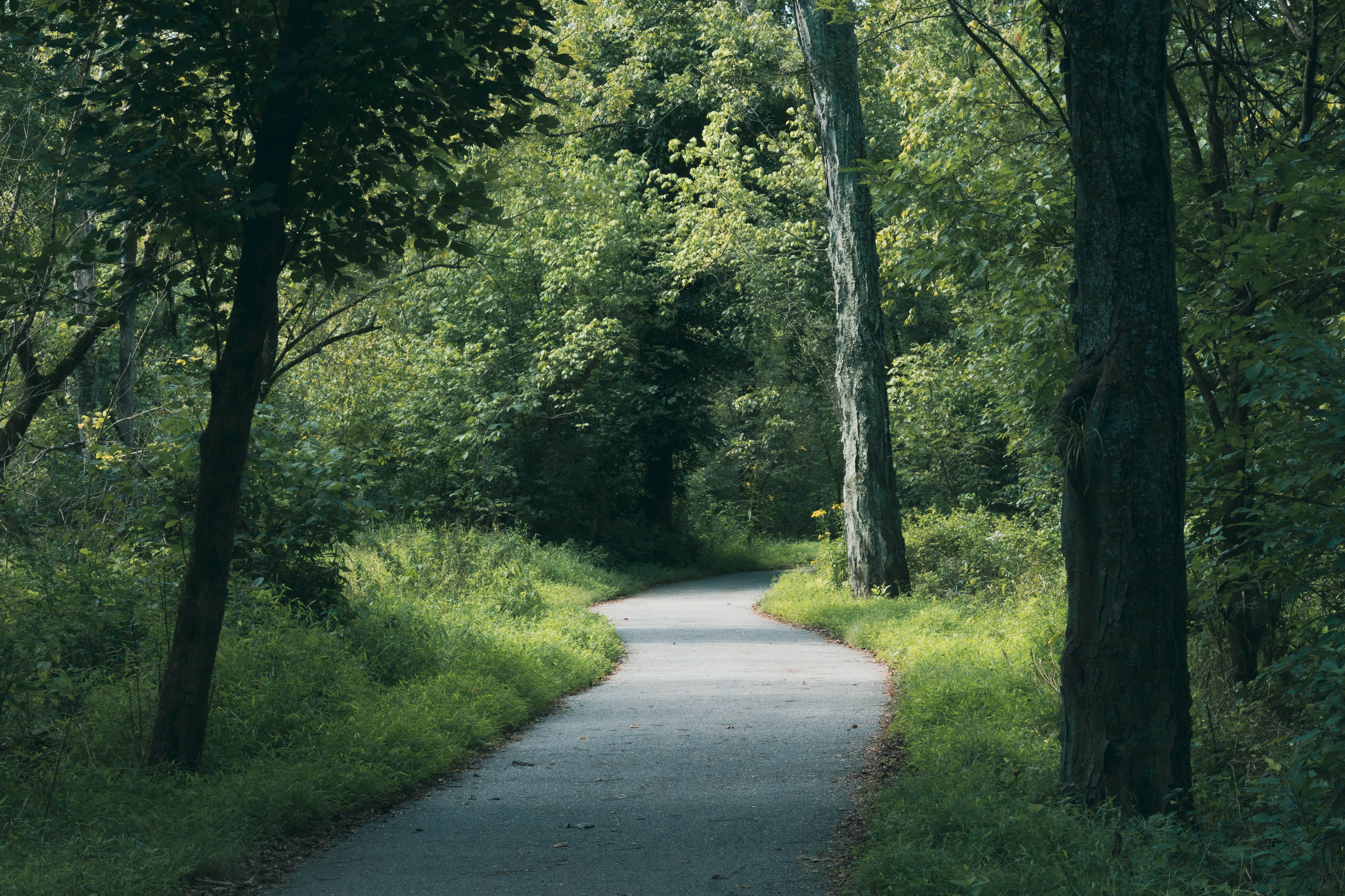 Photo by hirokonishimura