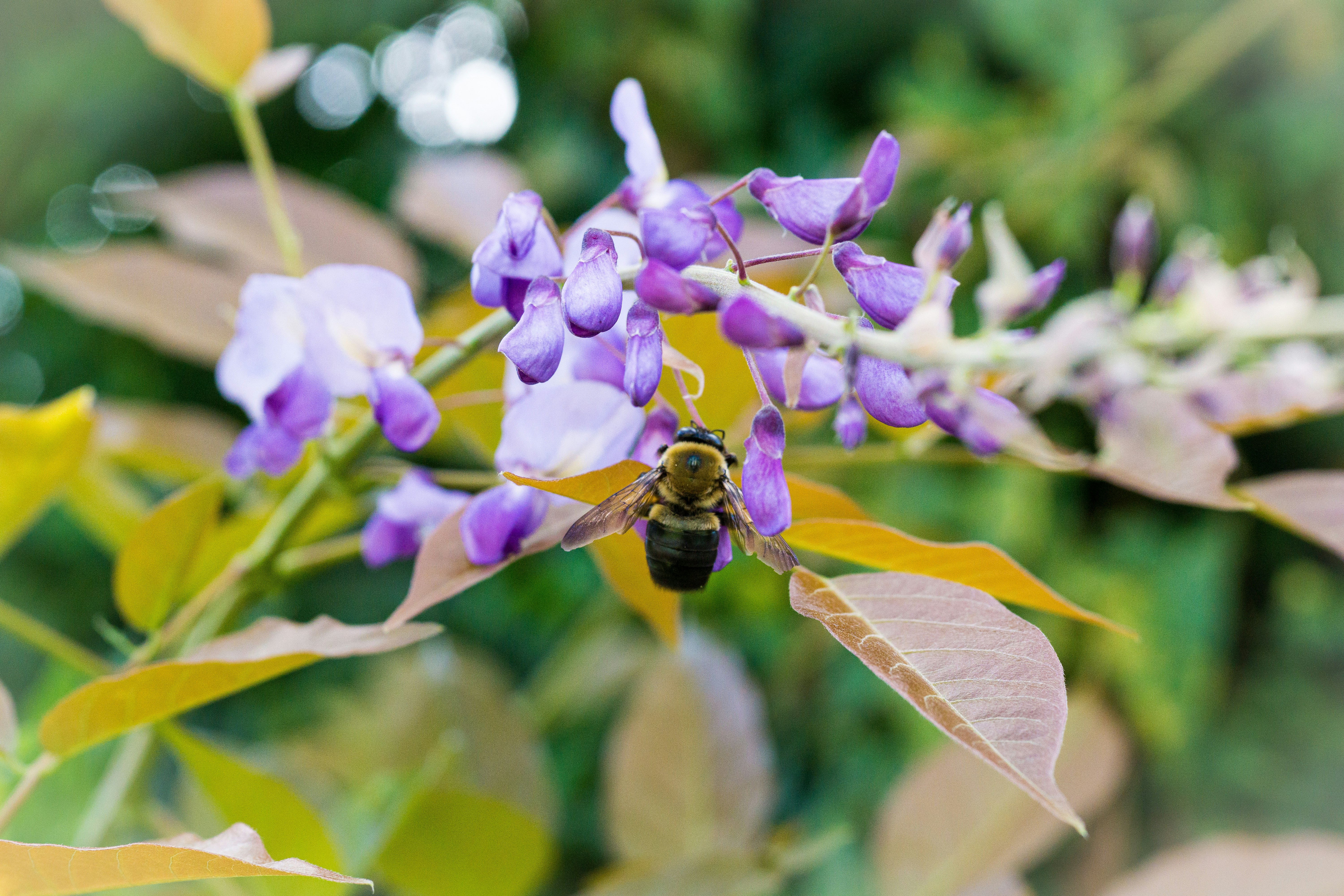 Photo by hirokonishimura