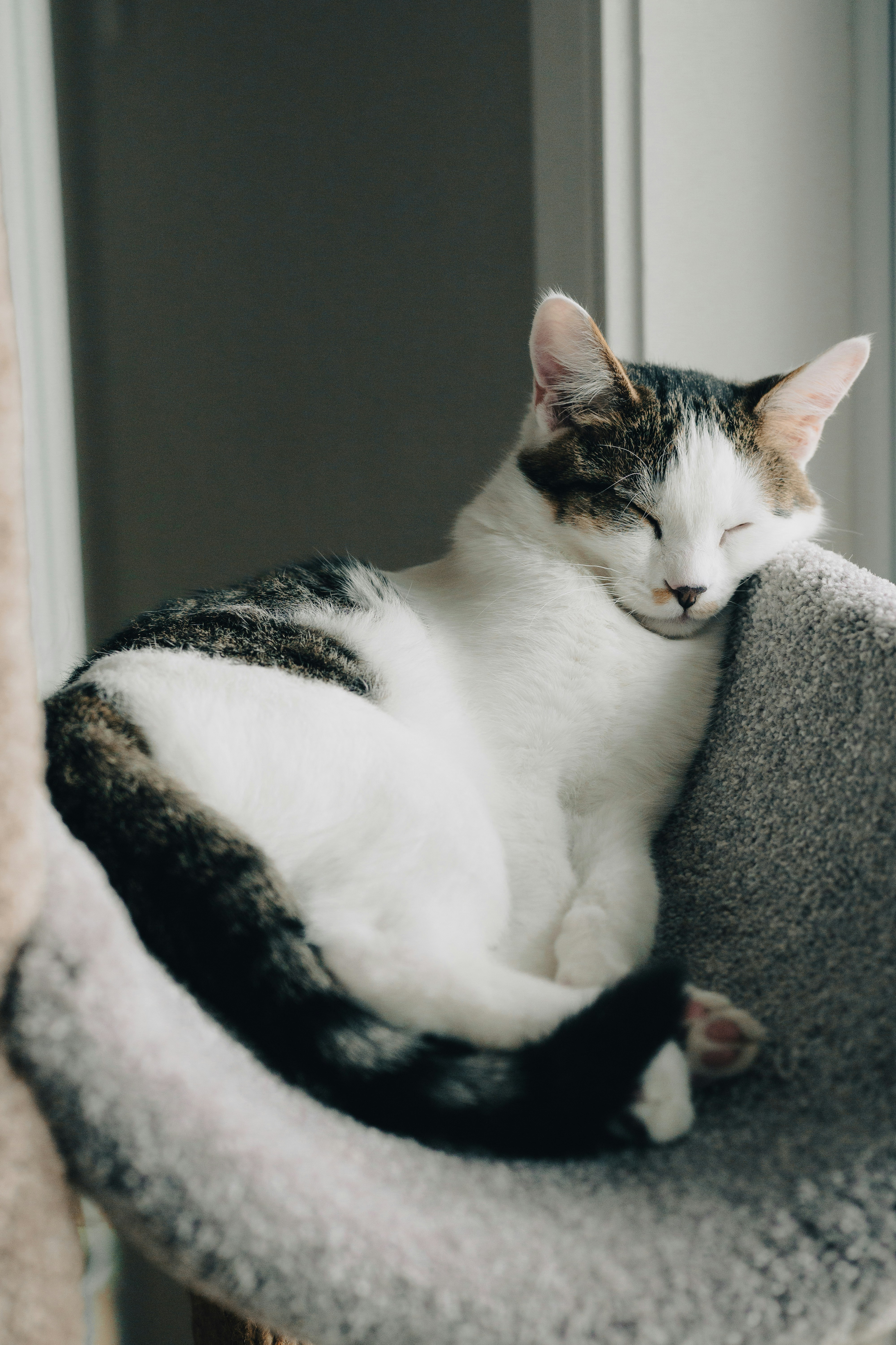 Photo by hirokonishimura