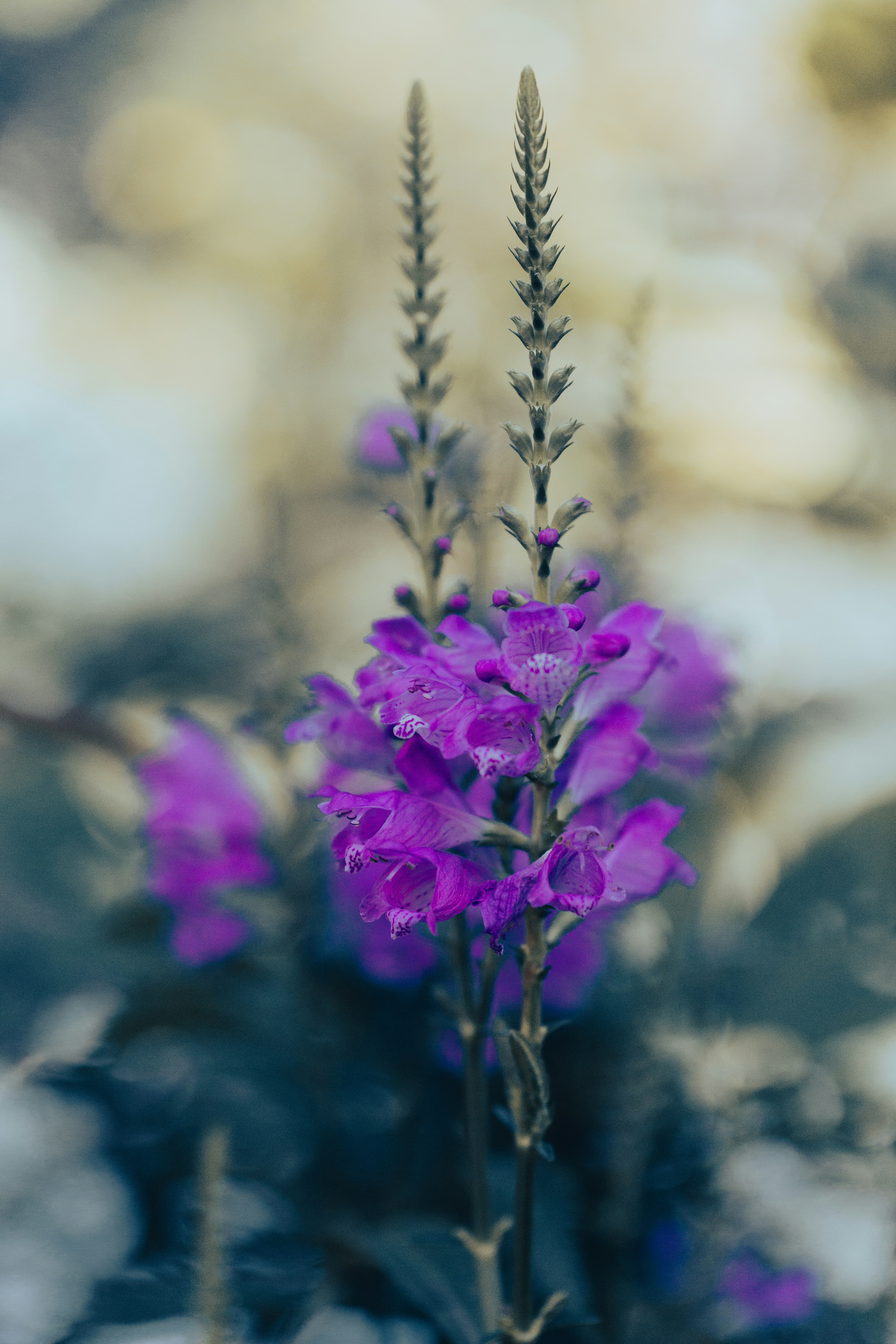 Photo by hirokonishimura