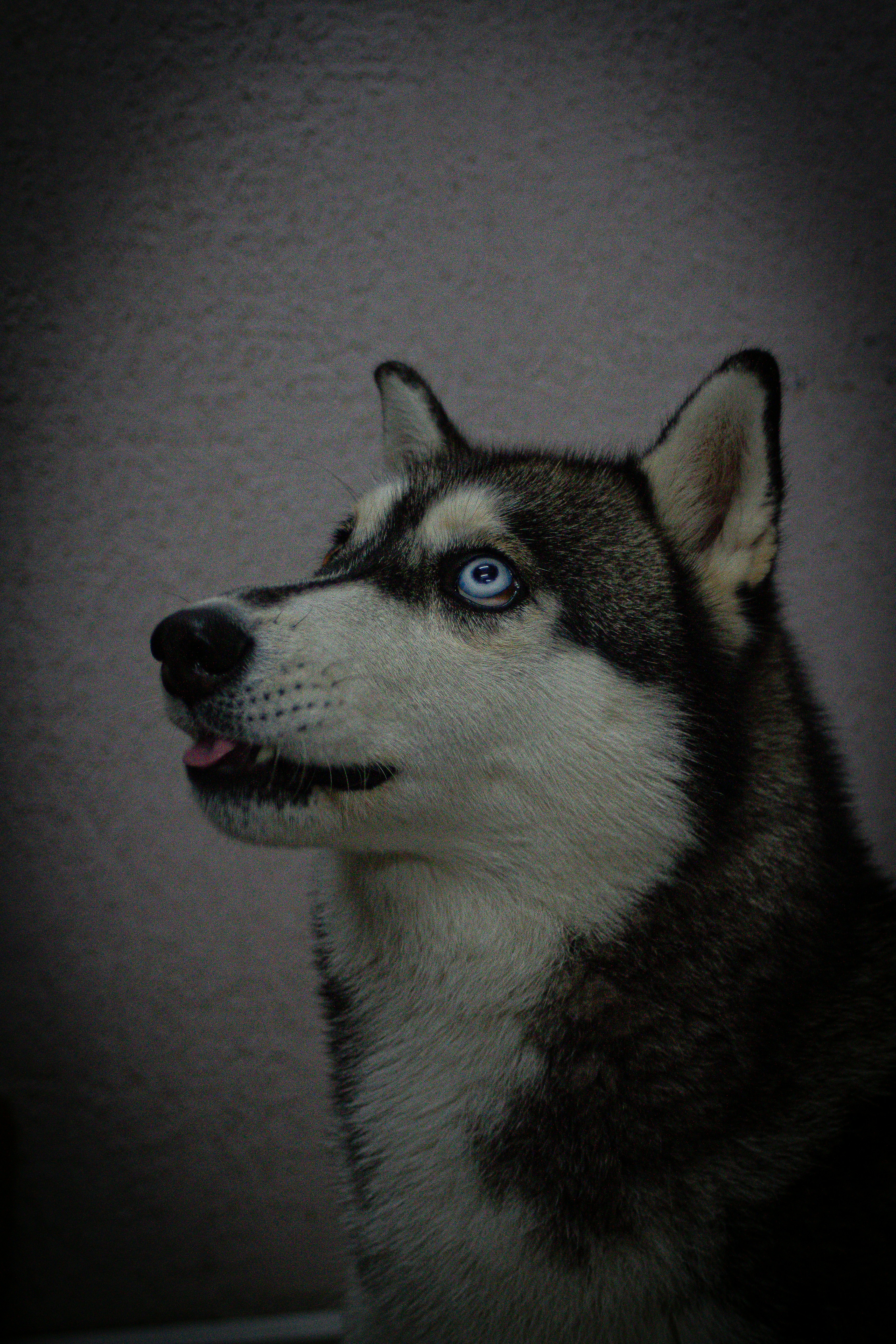 Photo by photos_muka