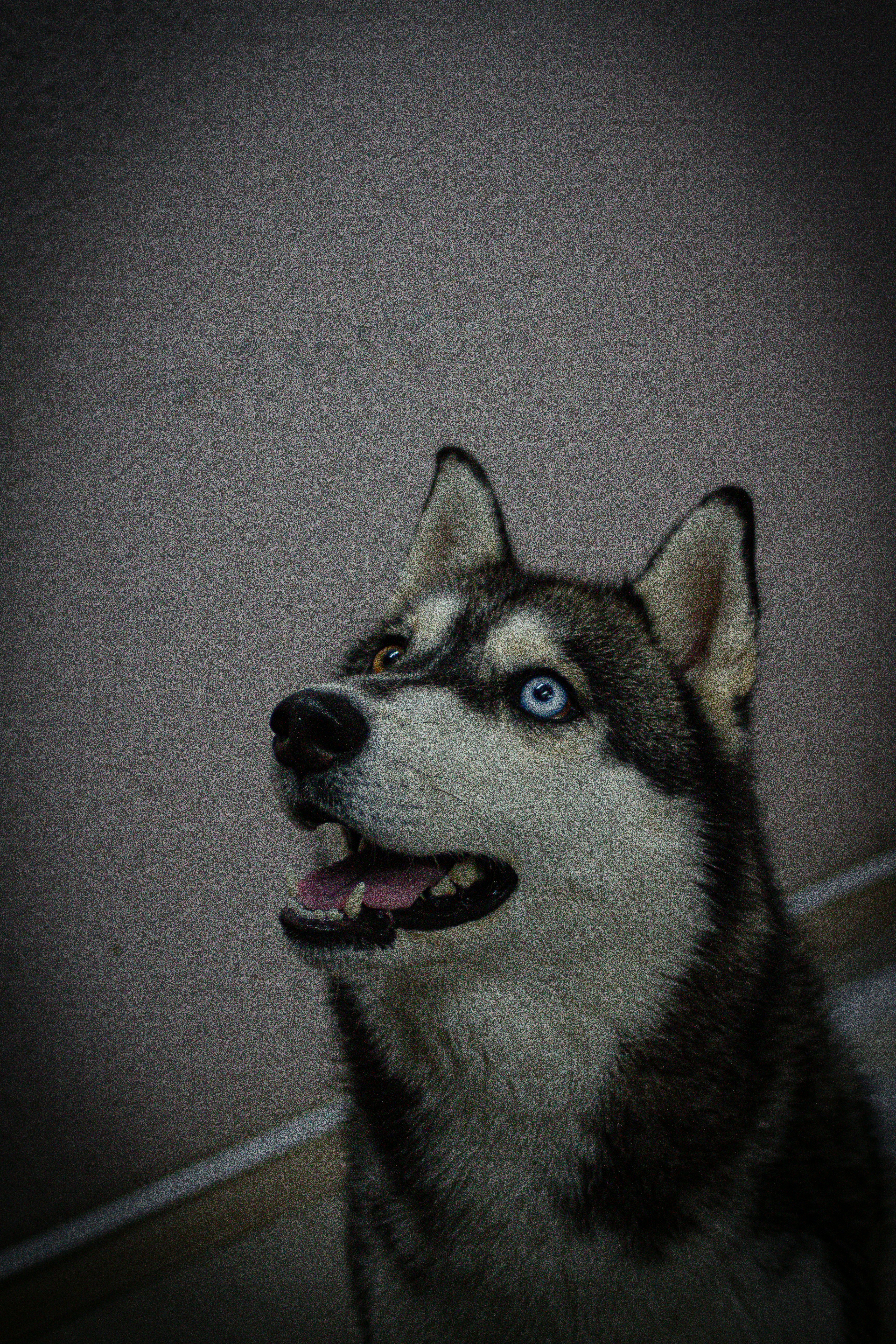 Photo by photos_muka