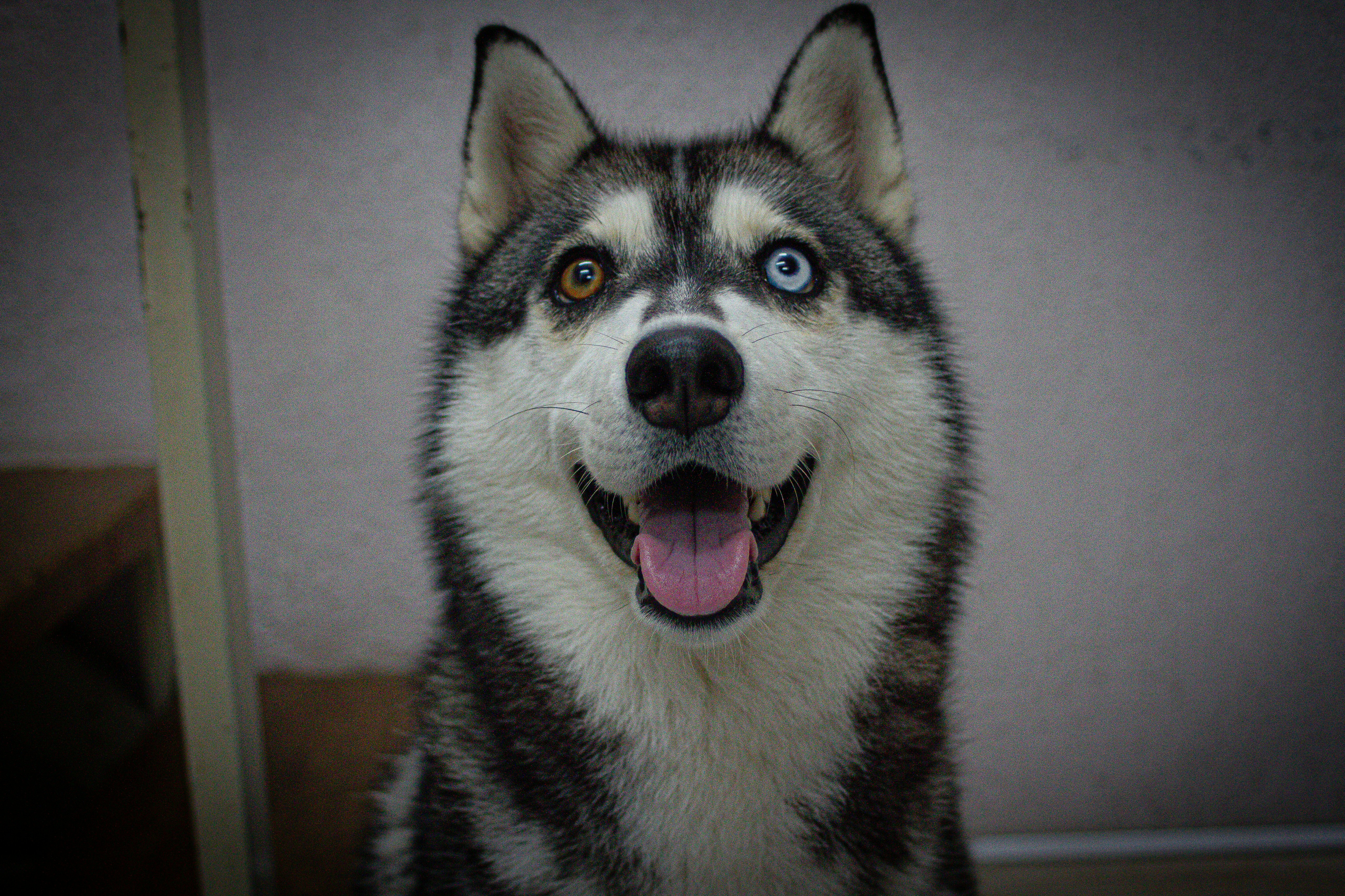 Photo by photos_muka