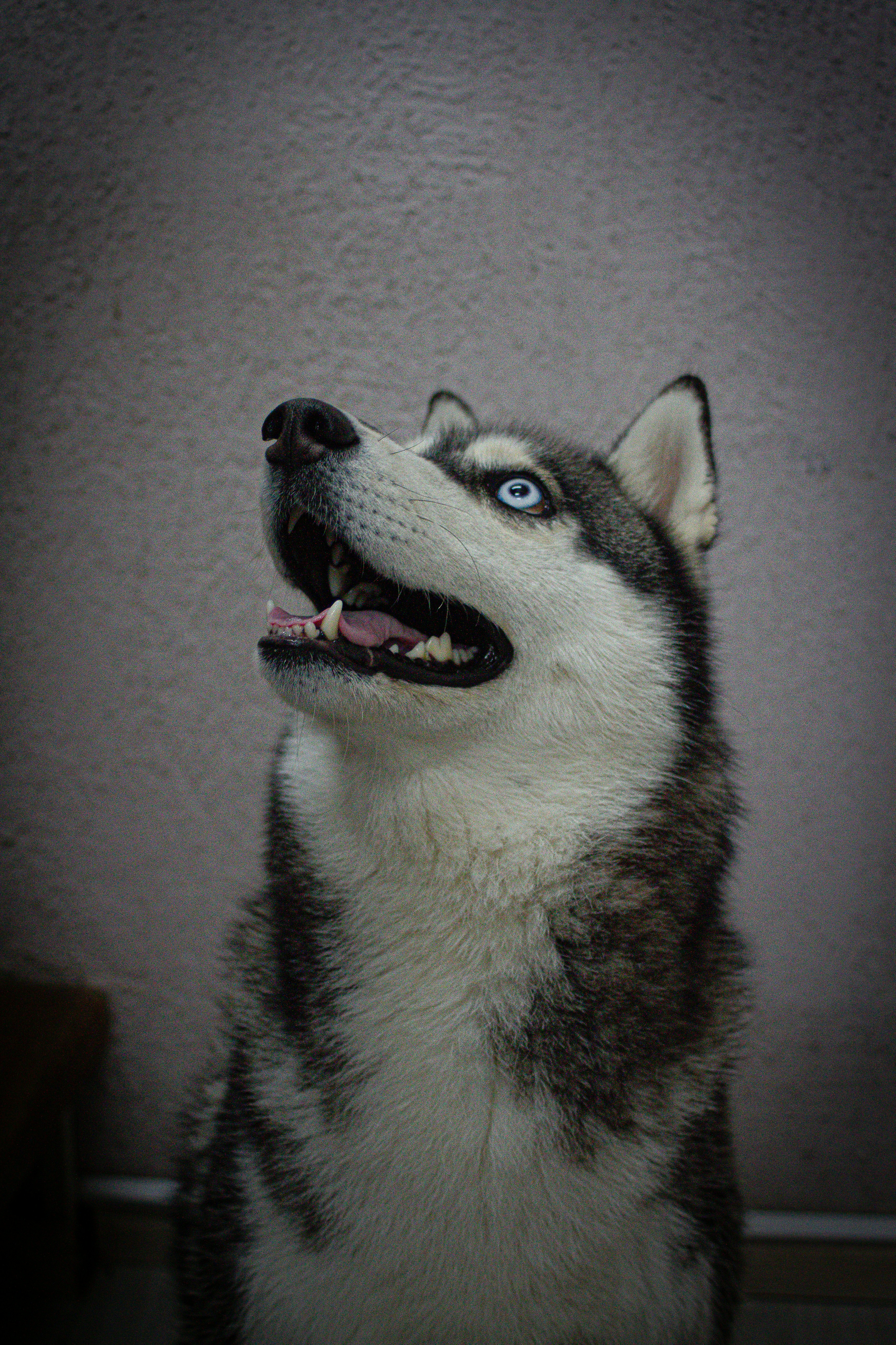 Photo by photos_muka