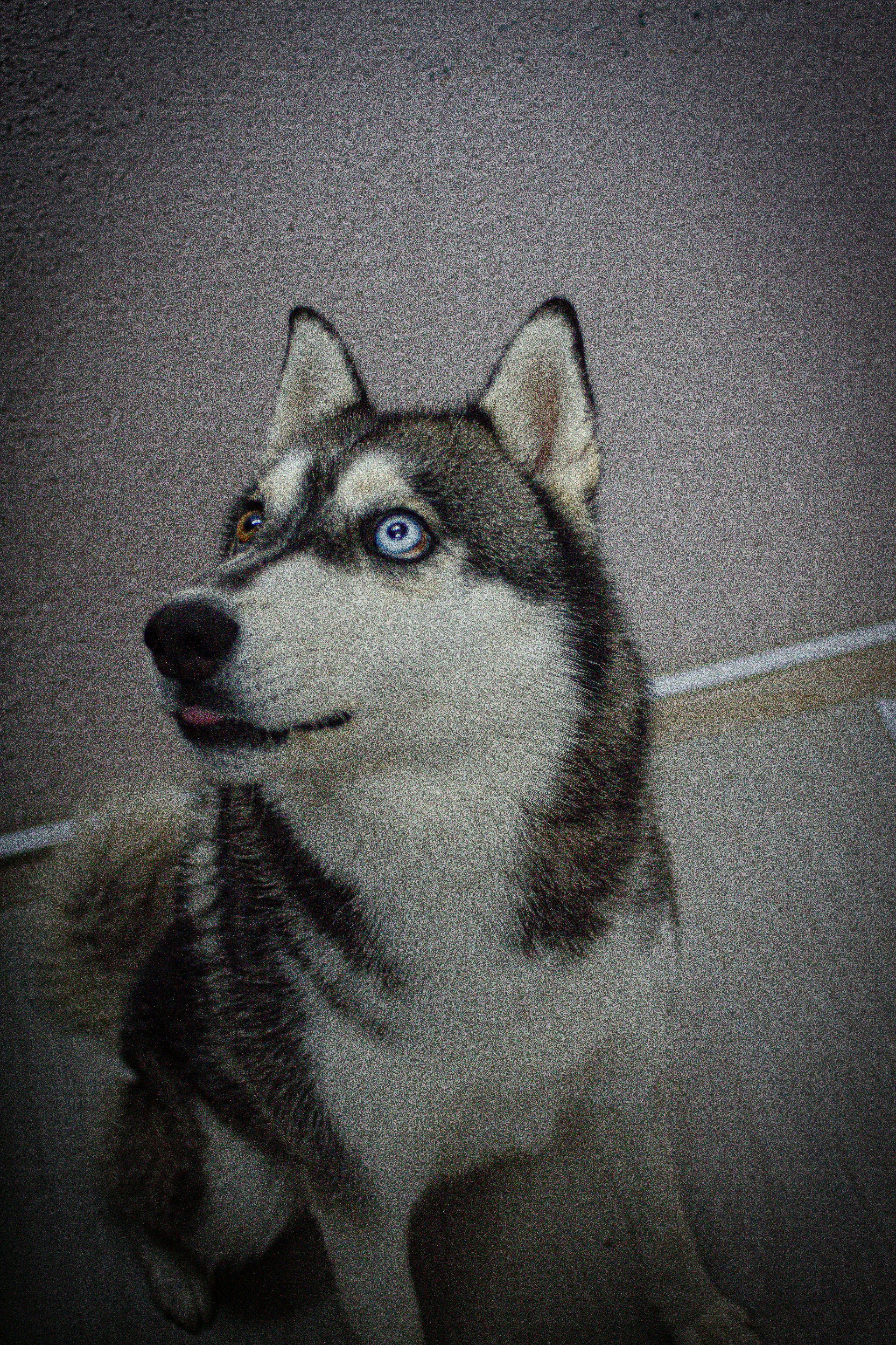 Photo by photos_muka