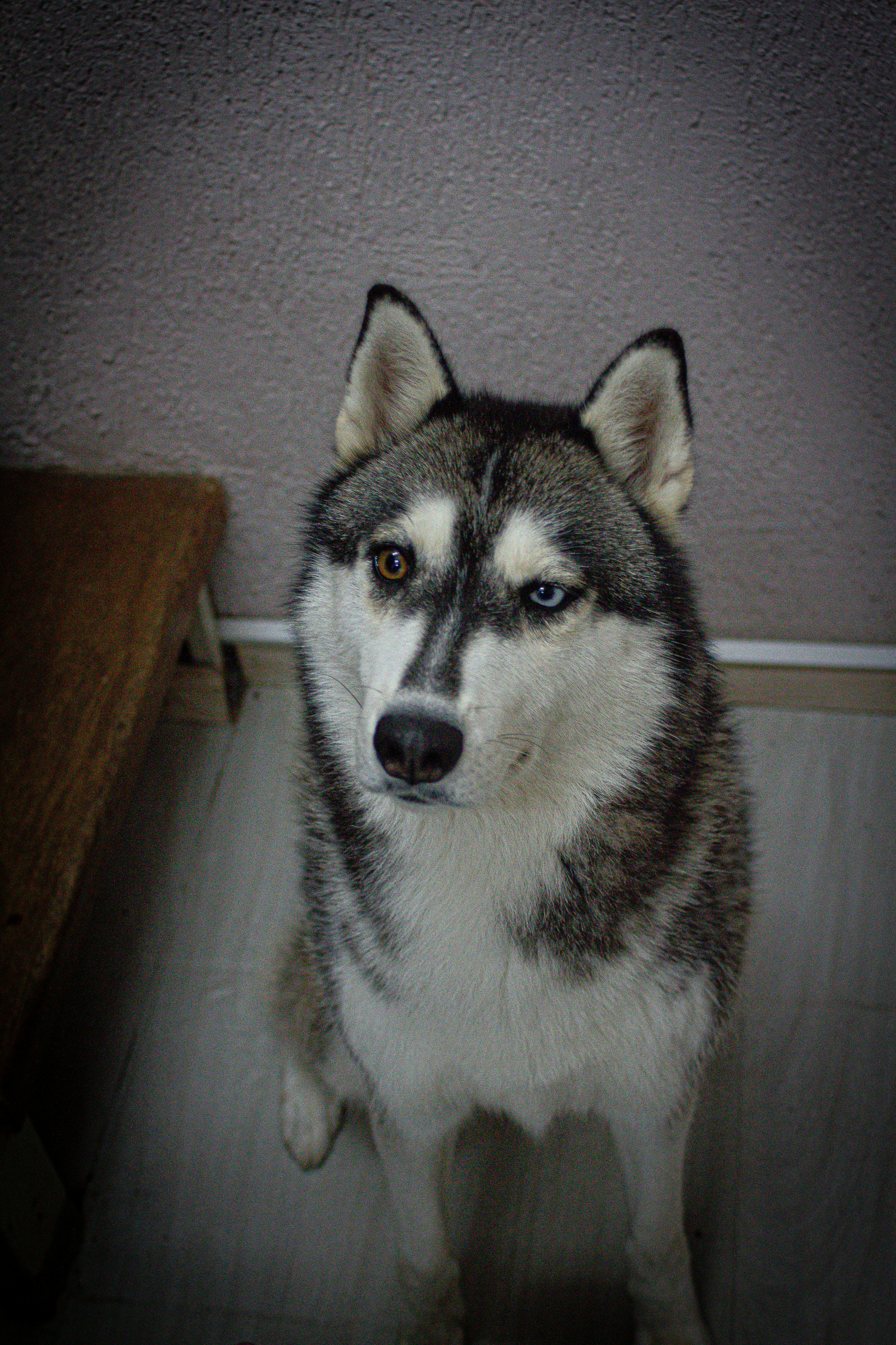 Photo by photos_muka