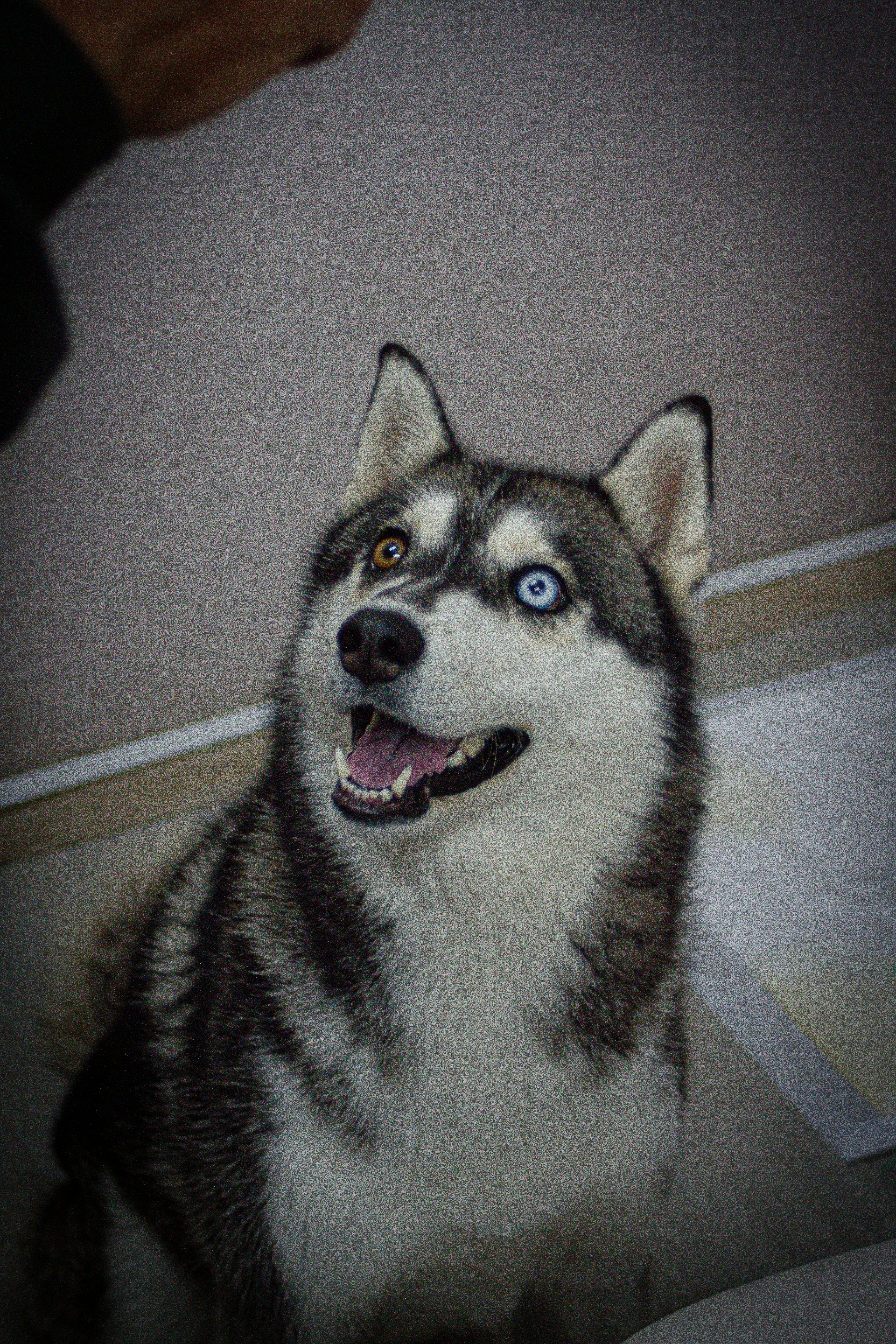 Photo by photos_muka