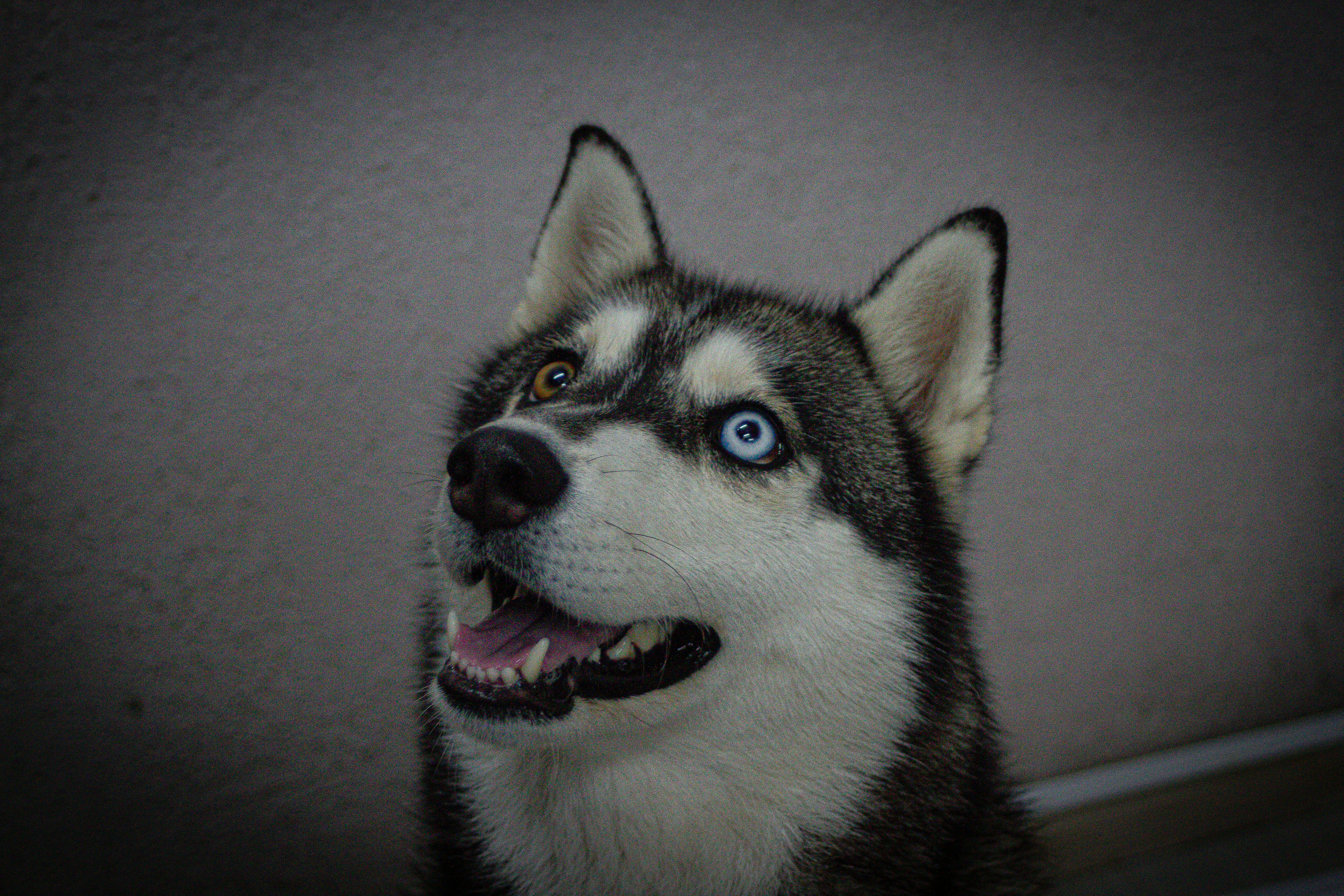 Photo by photos_muka