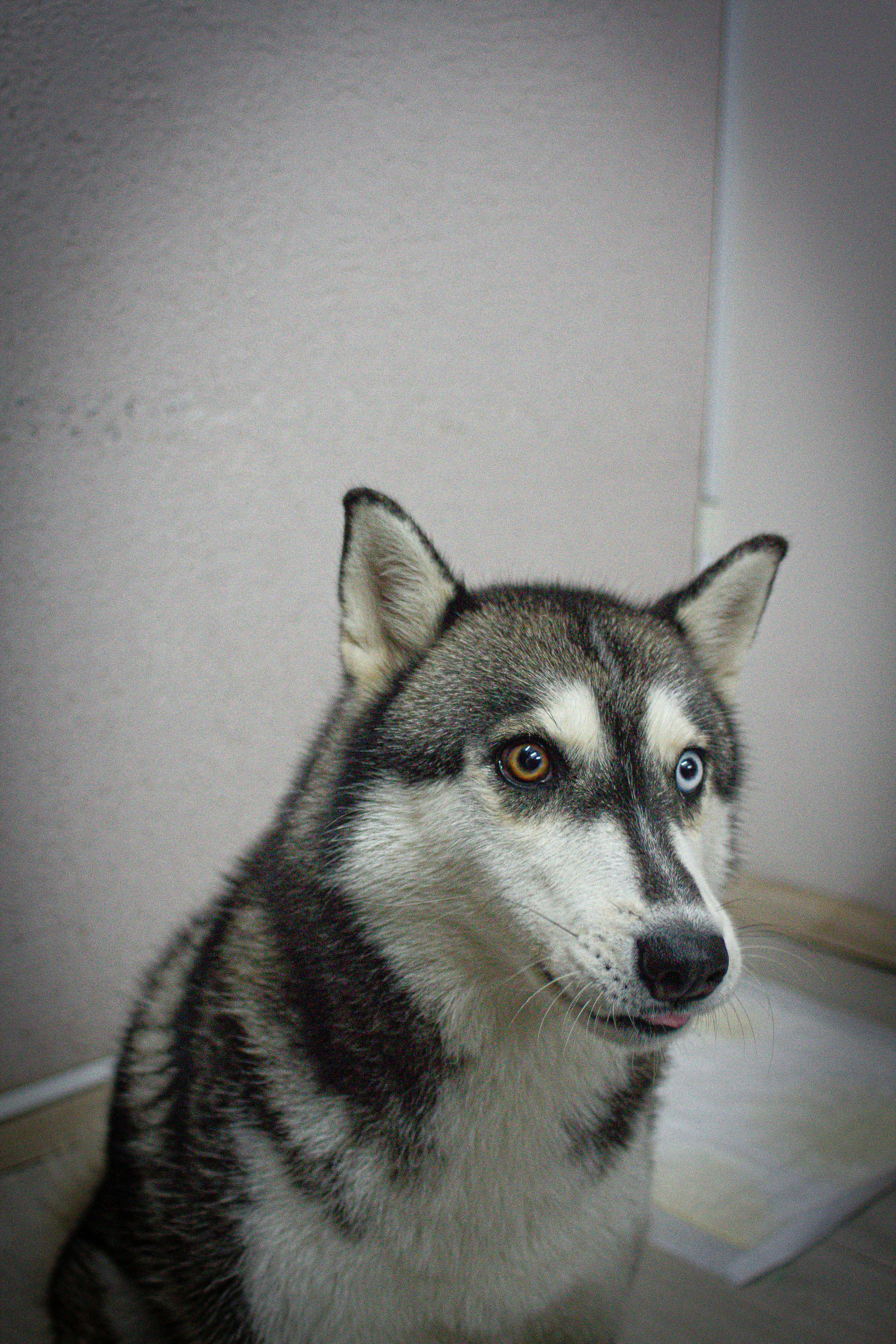 Photo by photos_muka