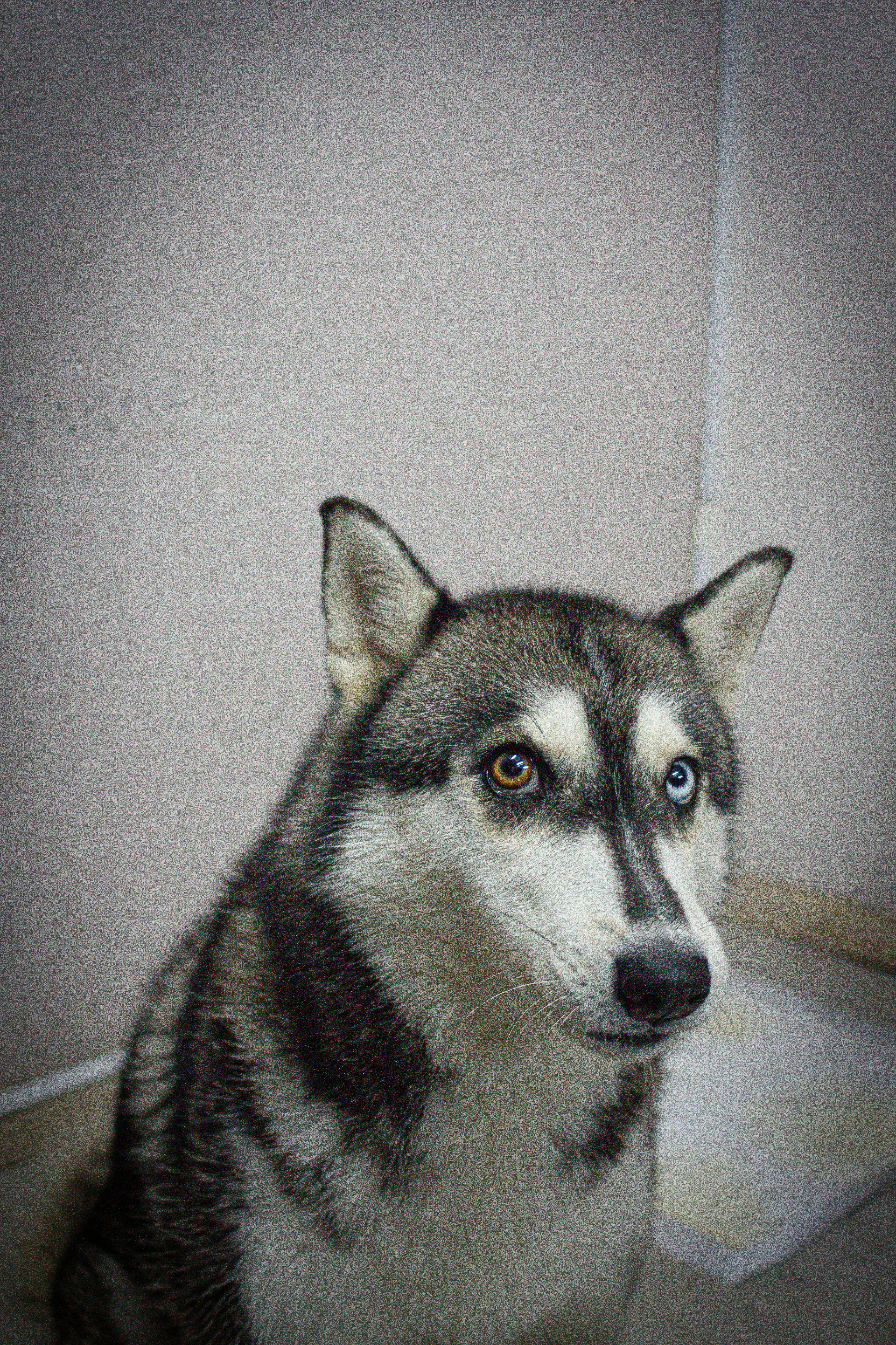 Photo by photos_muka