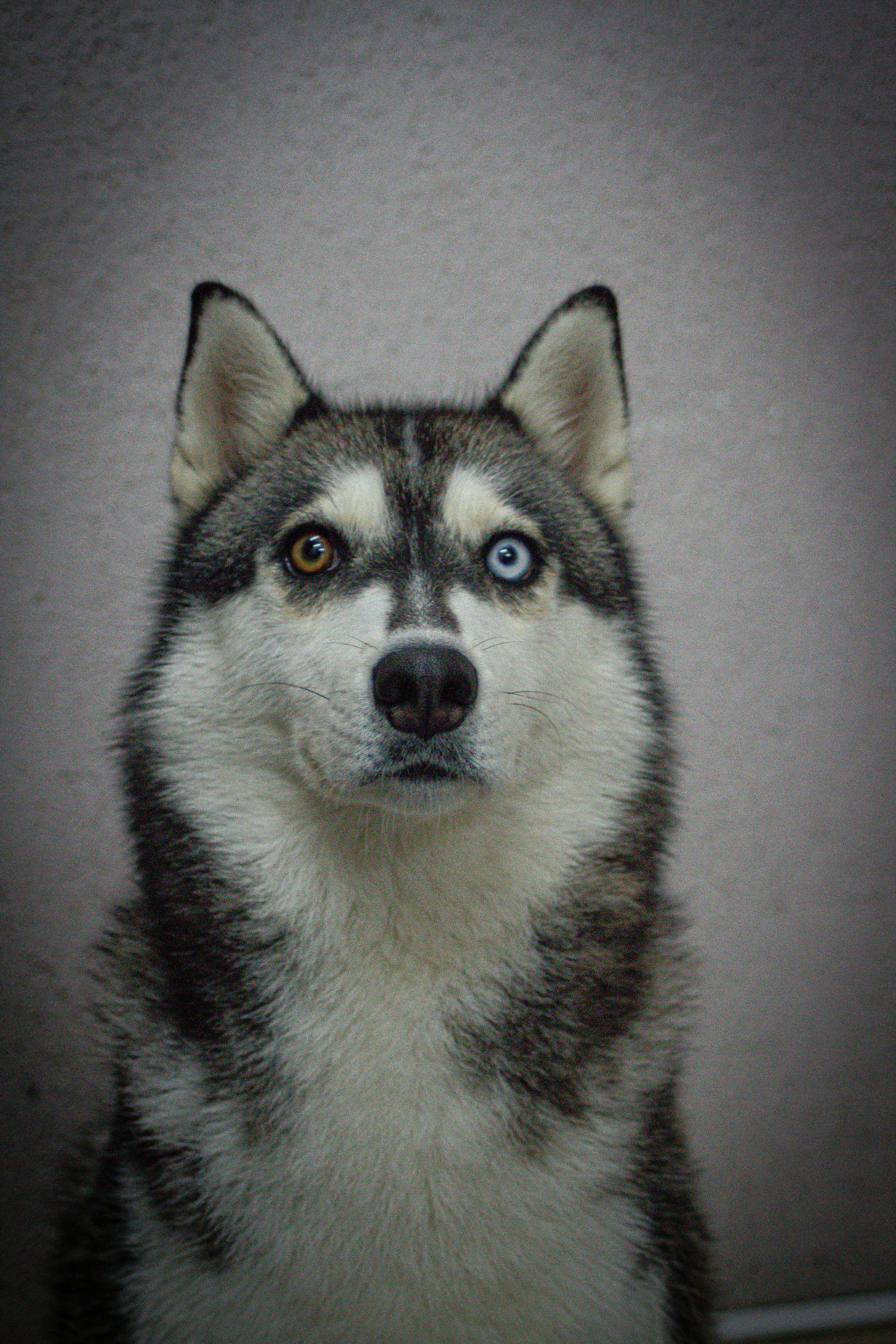 Photo by photos_muka