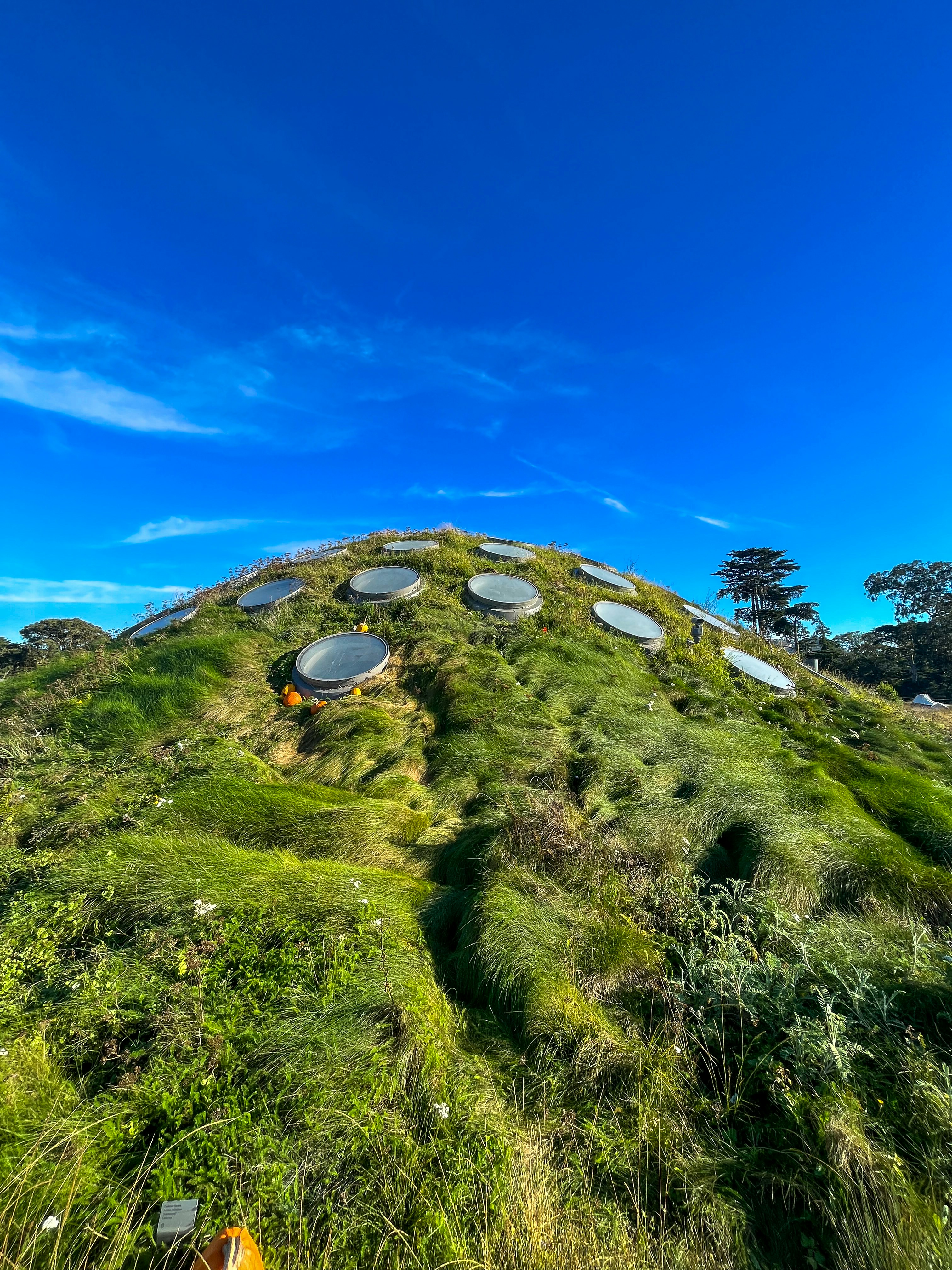 Un bâtiment vert se trouve sous un ciel bleu et clair.