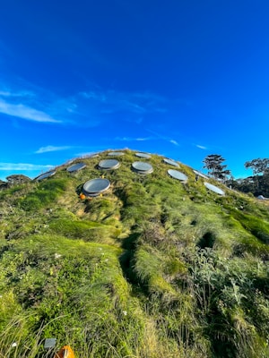 California Academy of Sciences