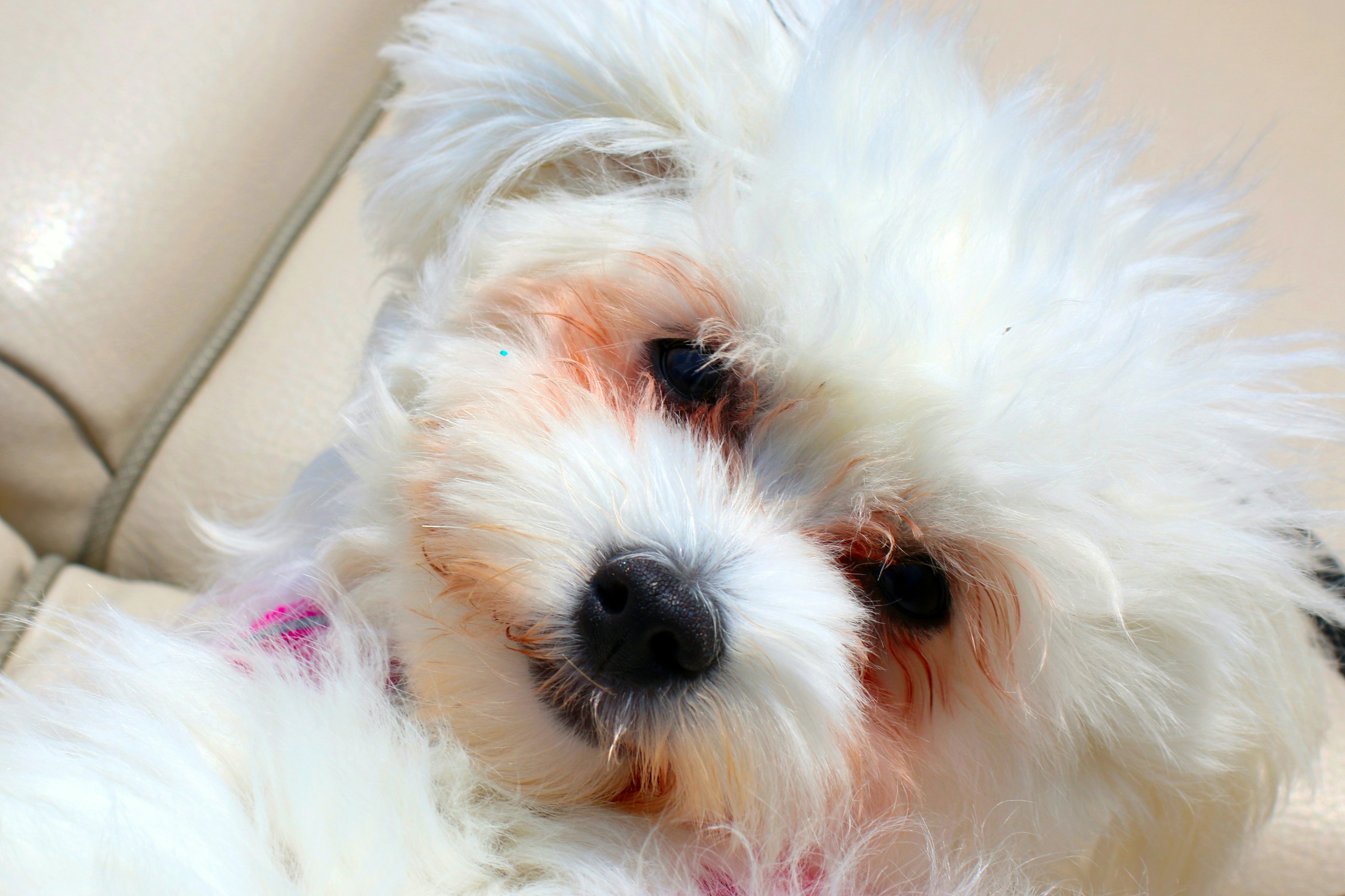 Photo by emi_frances