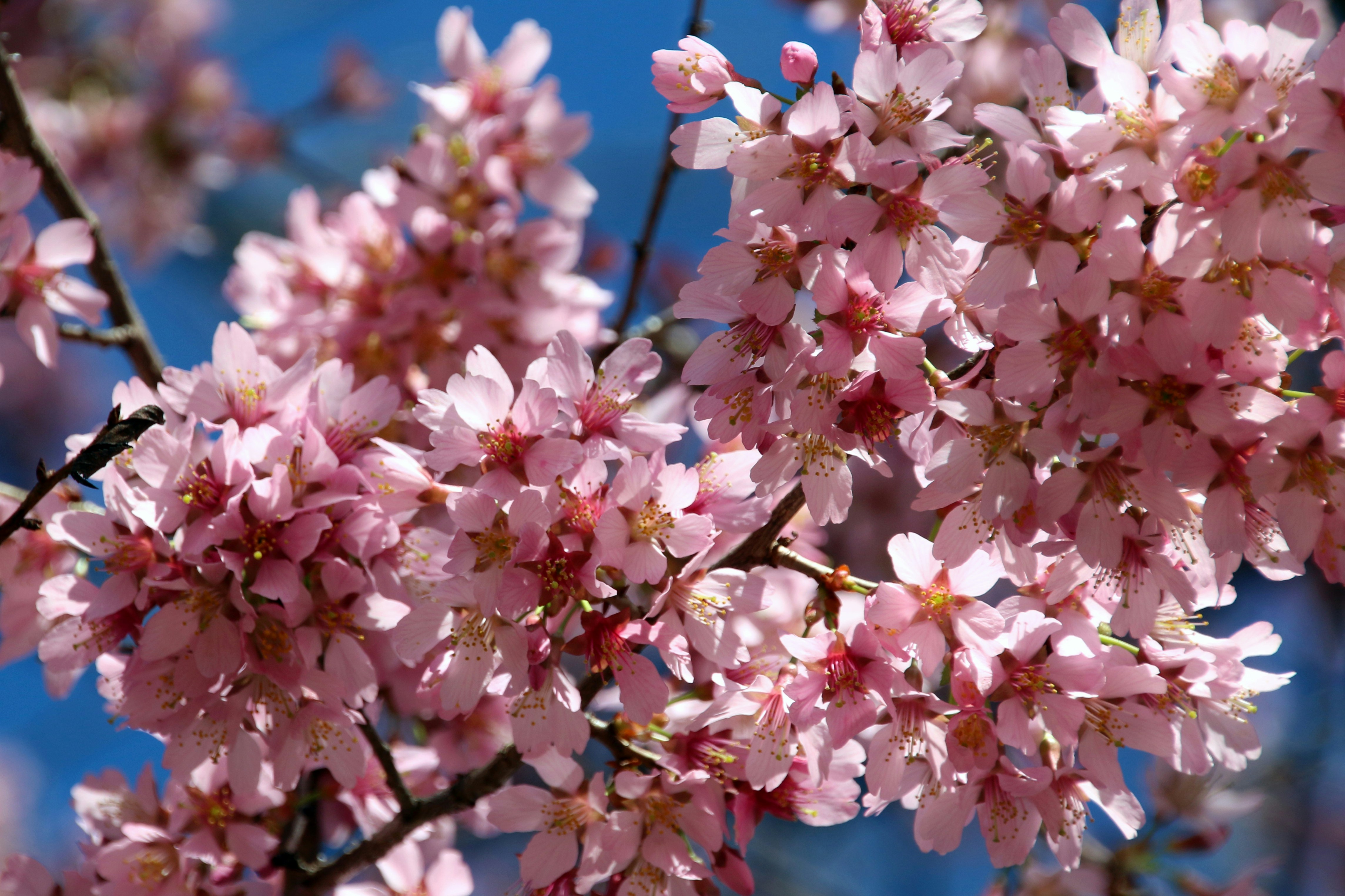 Photo by emi_frances