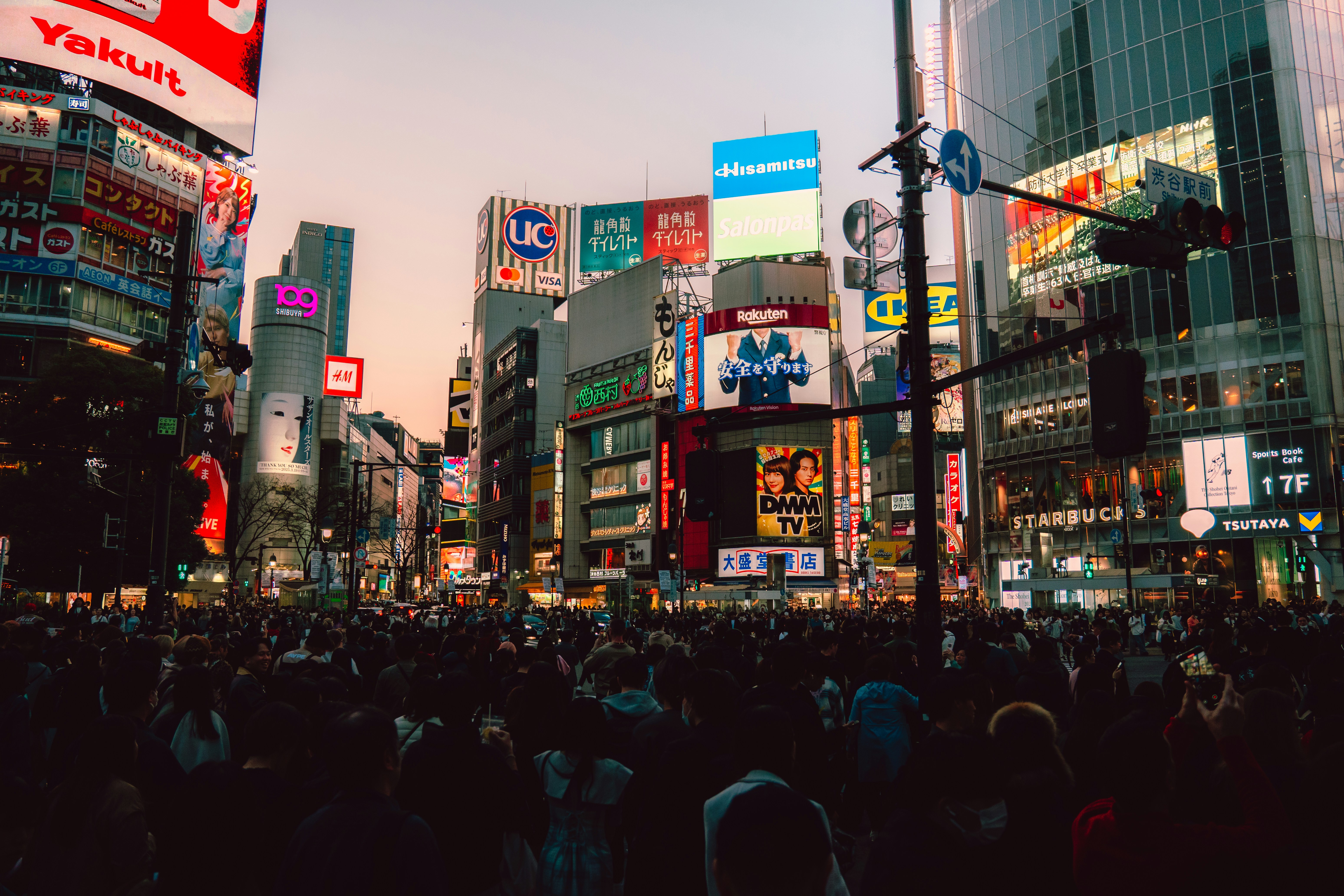 Photo by daniel_akserlod