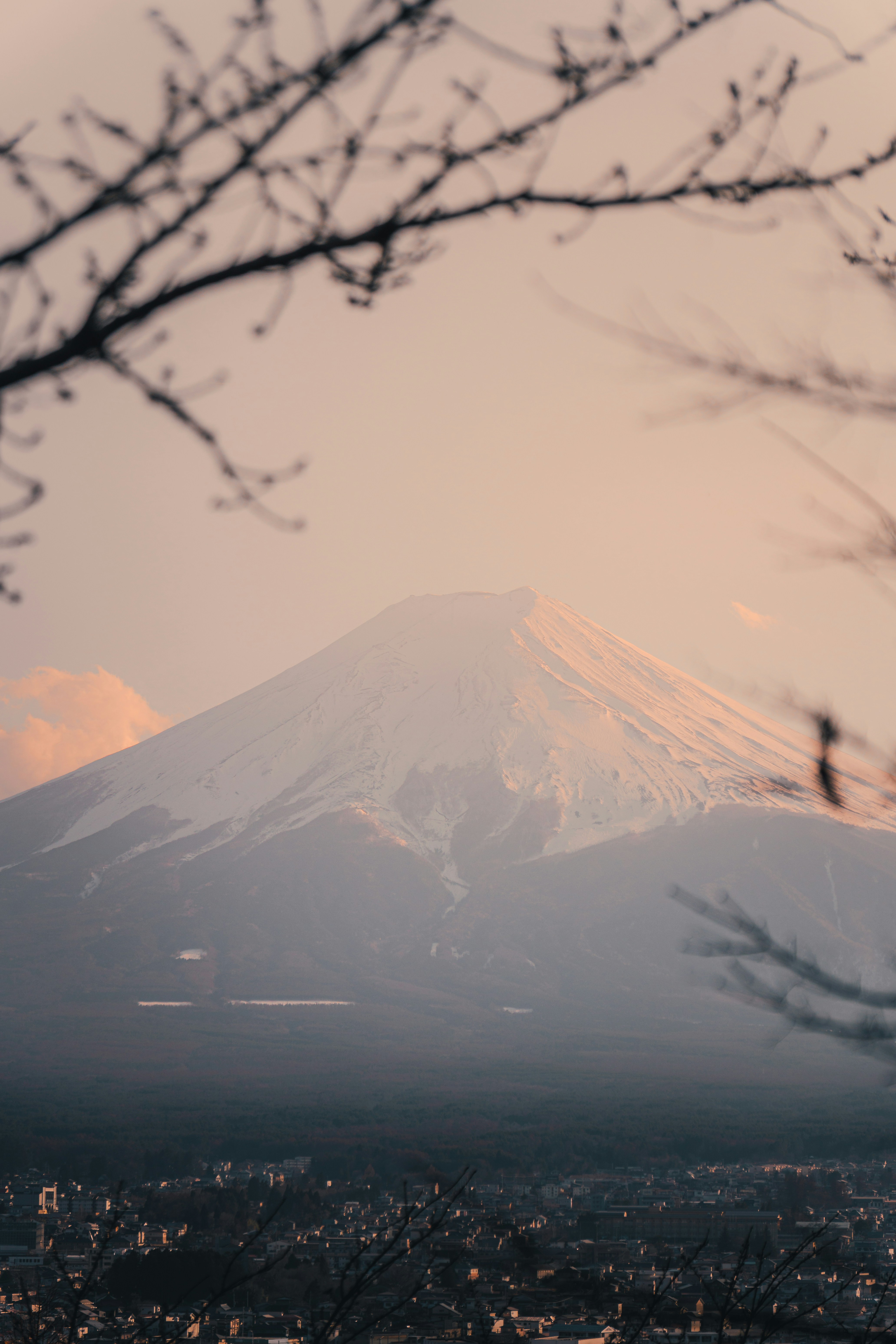 Photo by daniel_akserlod