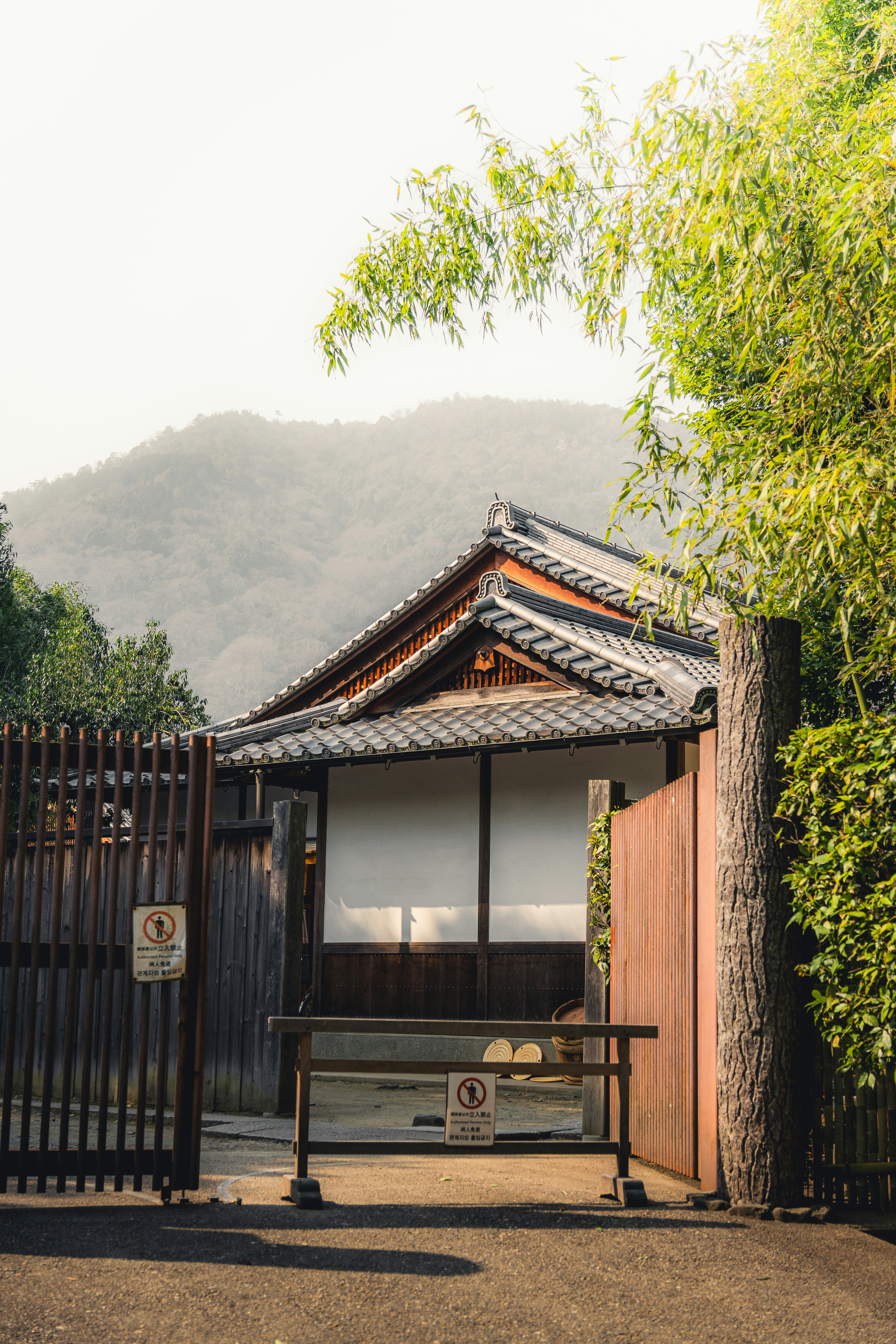 Photo by daniel_akserlod