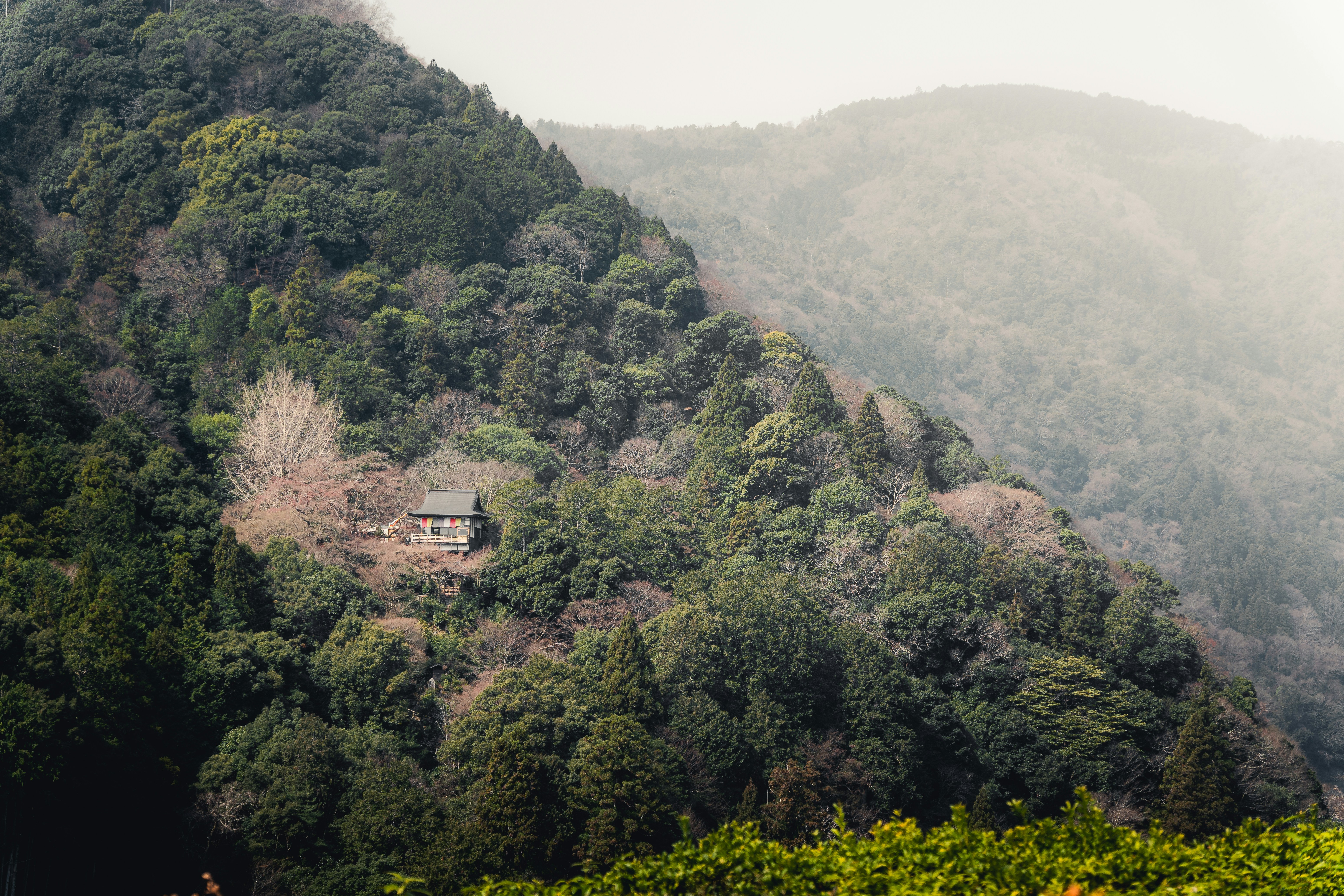 Photo by daniel_akserlod