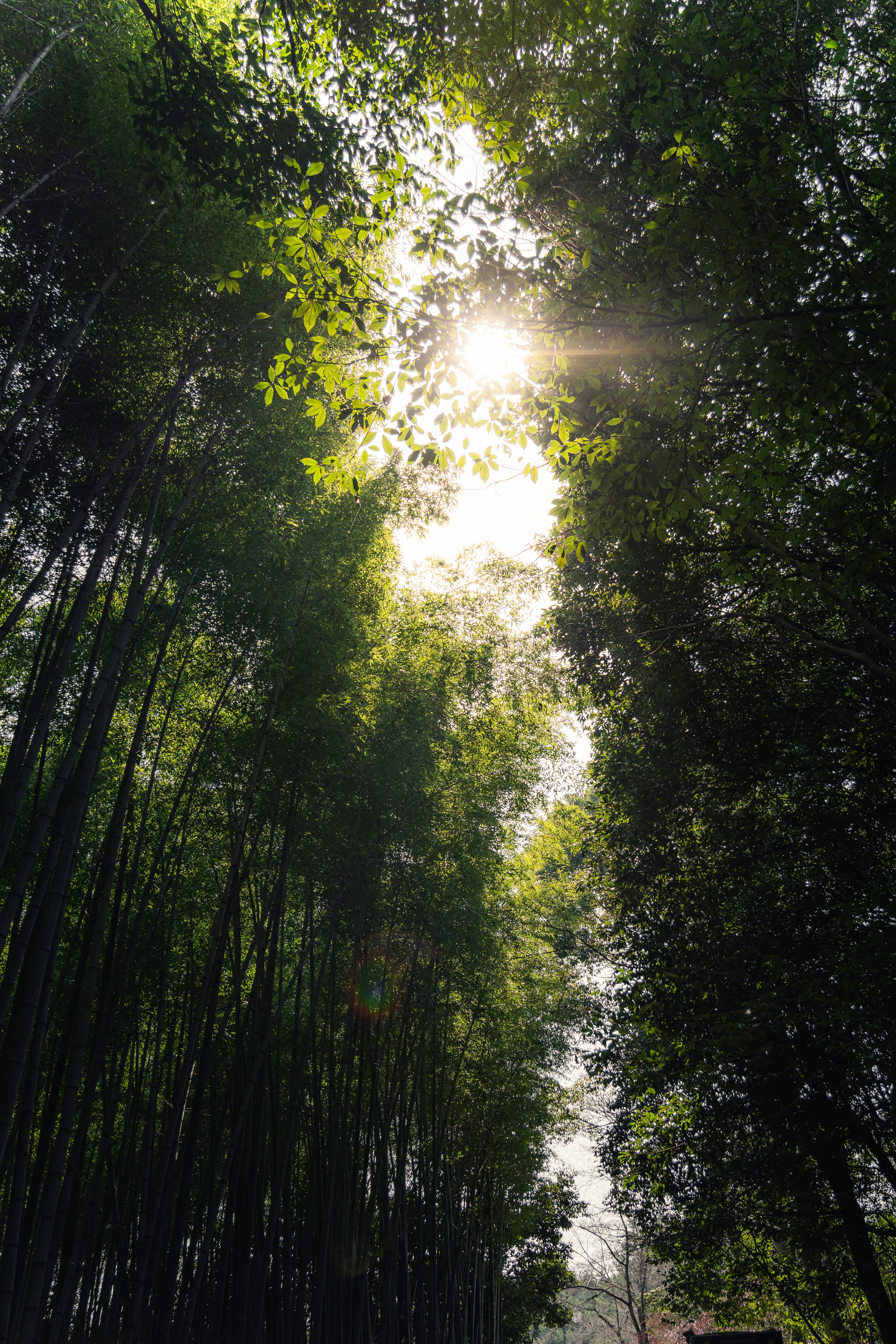 Photo by daniel_akserlod