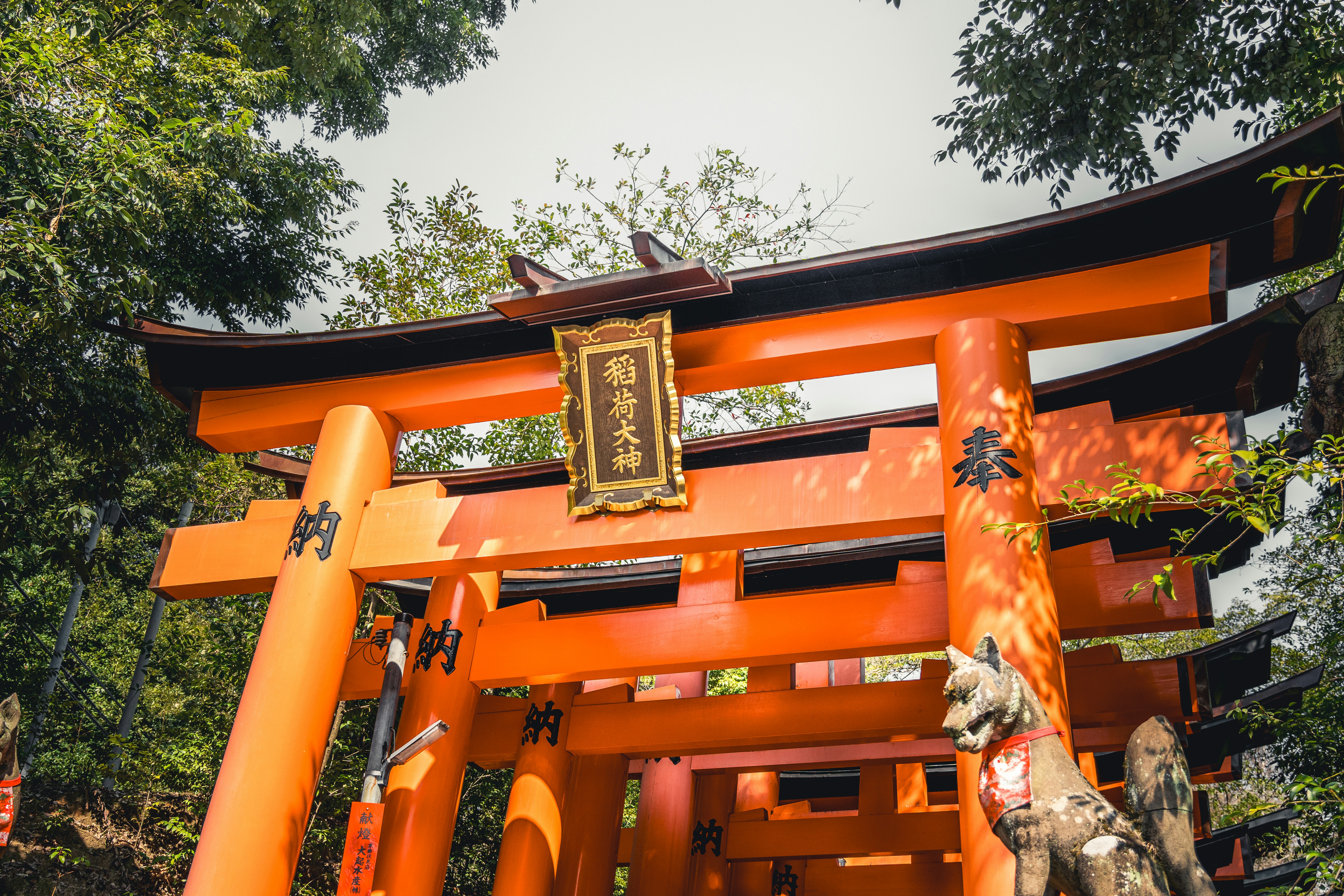 Photo by daniel_akserlod