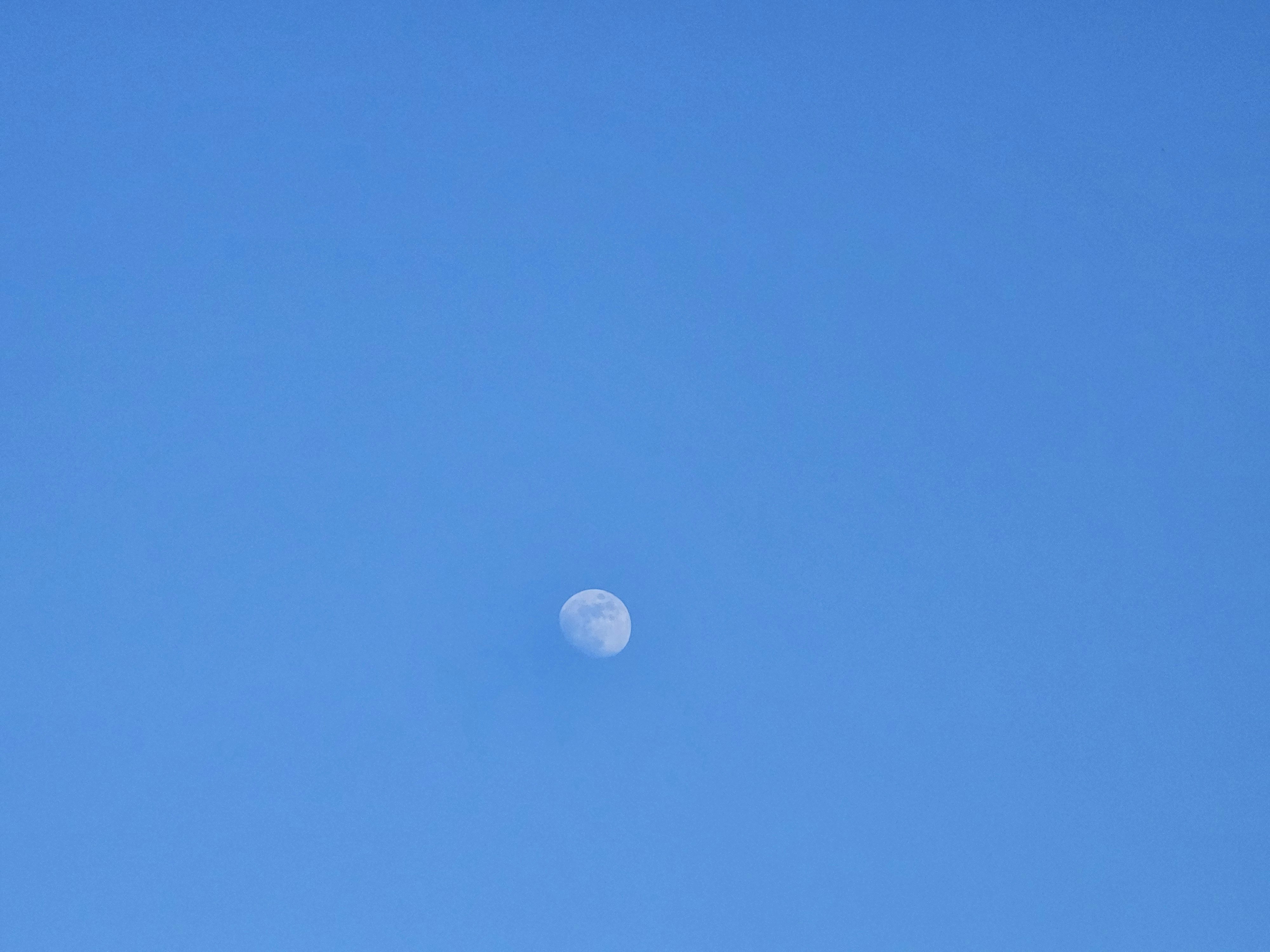 Photo by littlepiscesdreaming