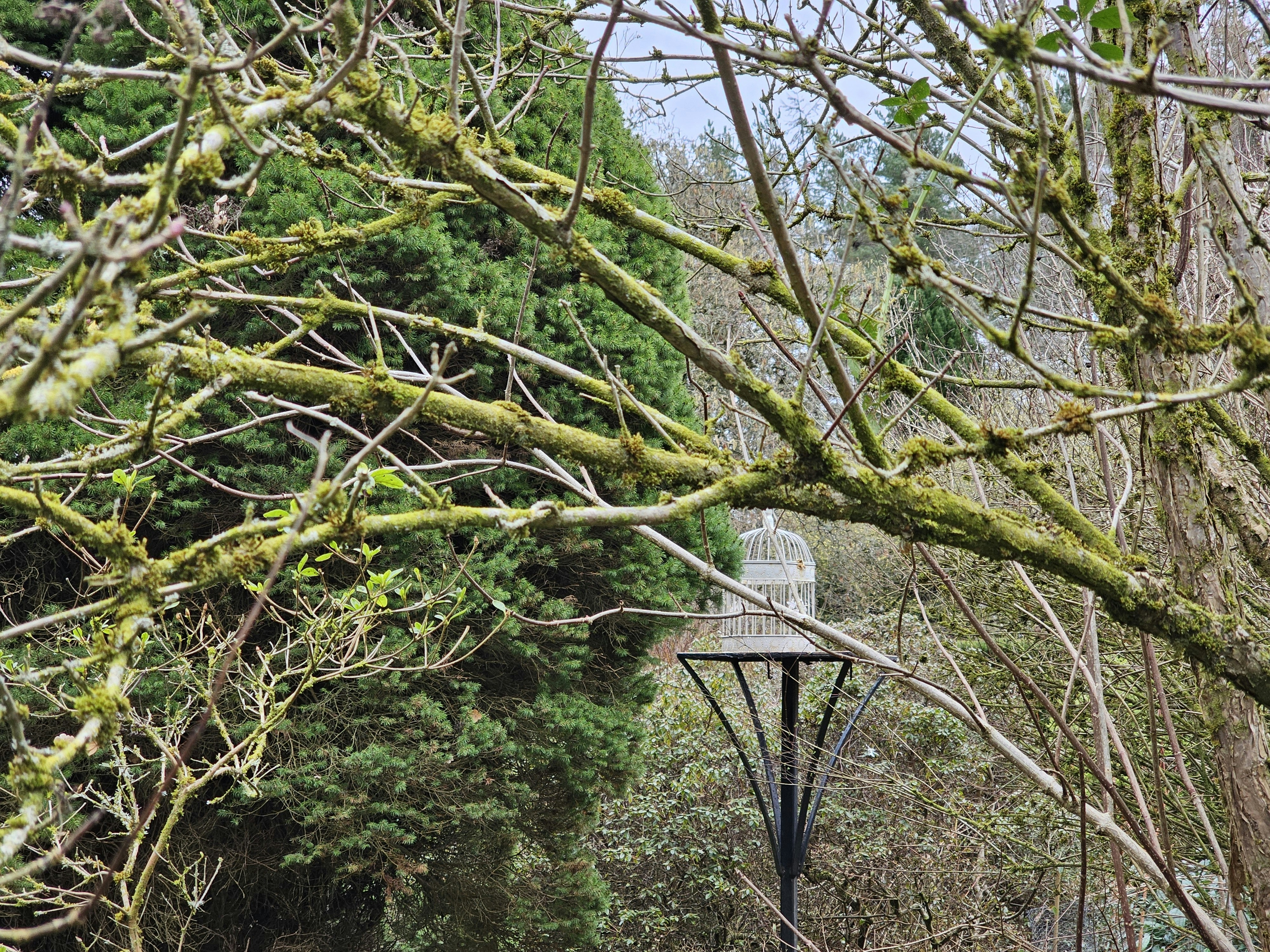 Photo by littlepiscesdreaming