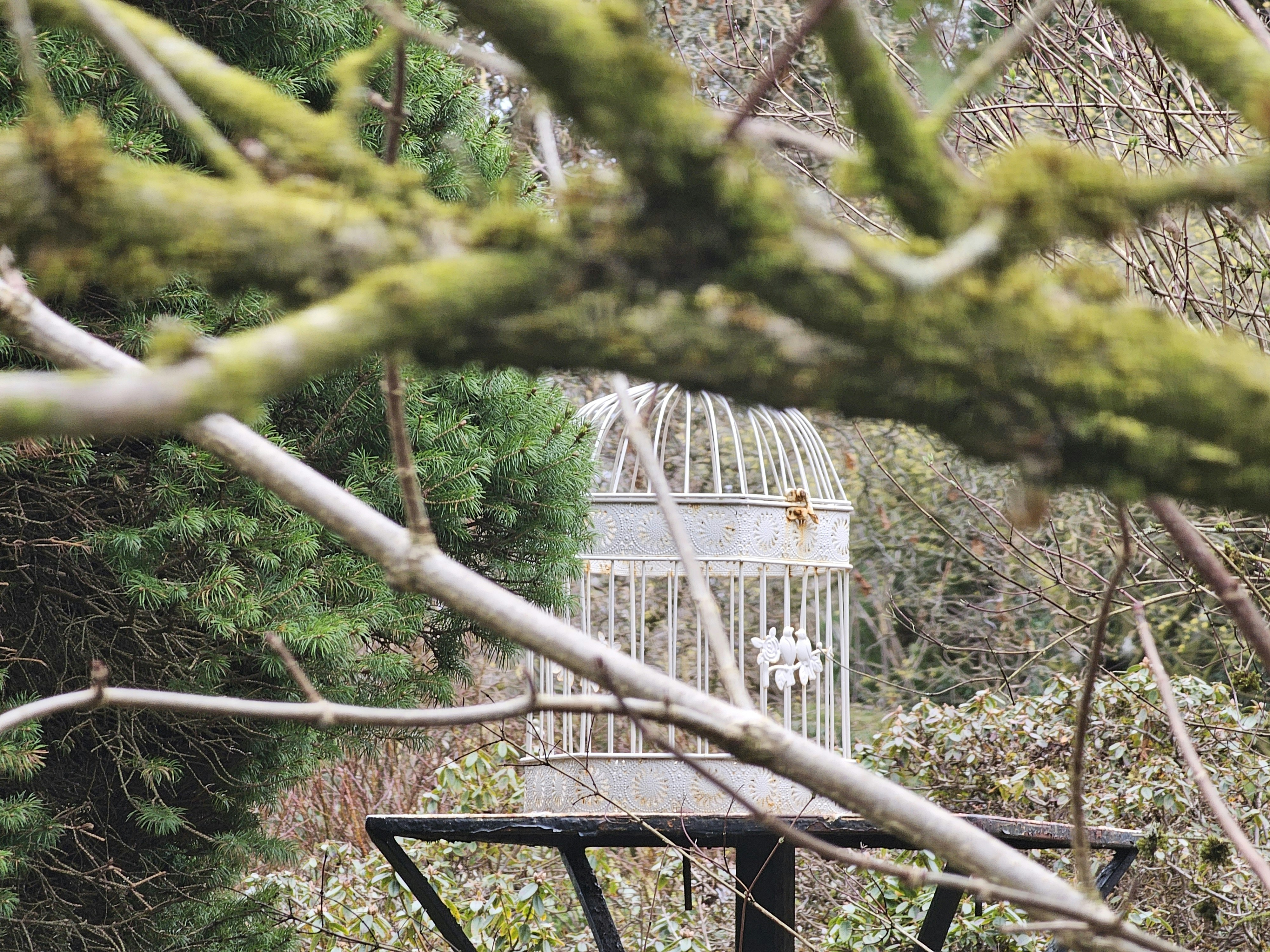 Photo by littlepiscesdreaming