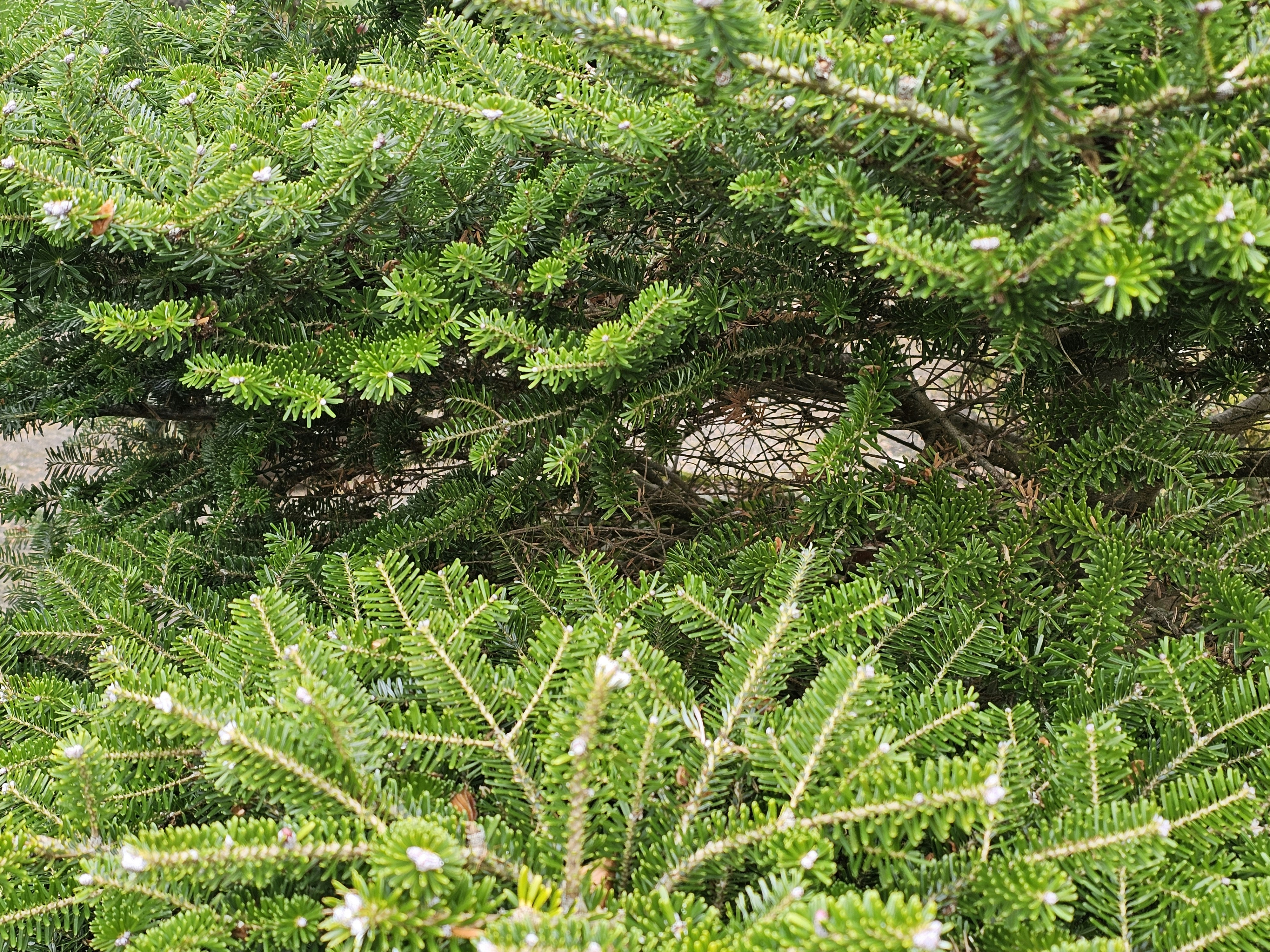 Photo by littlepiscesdreaming