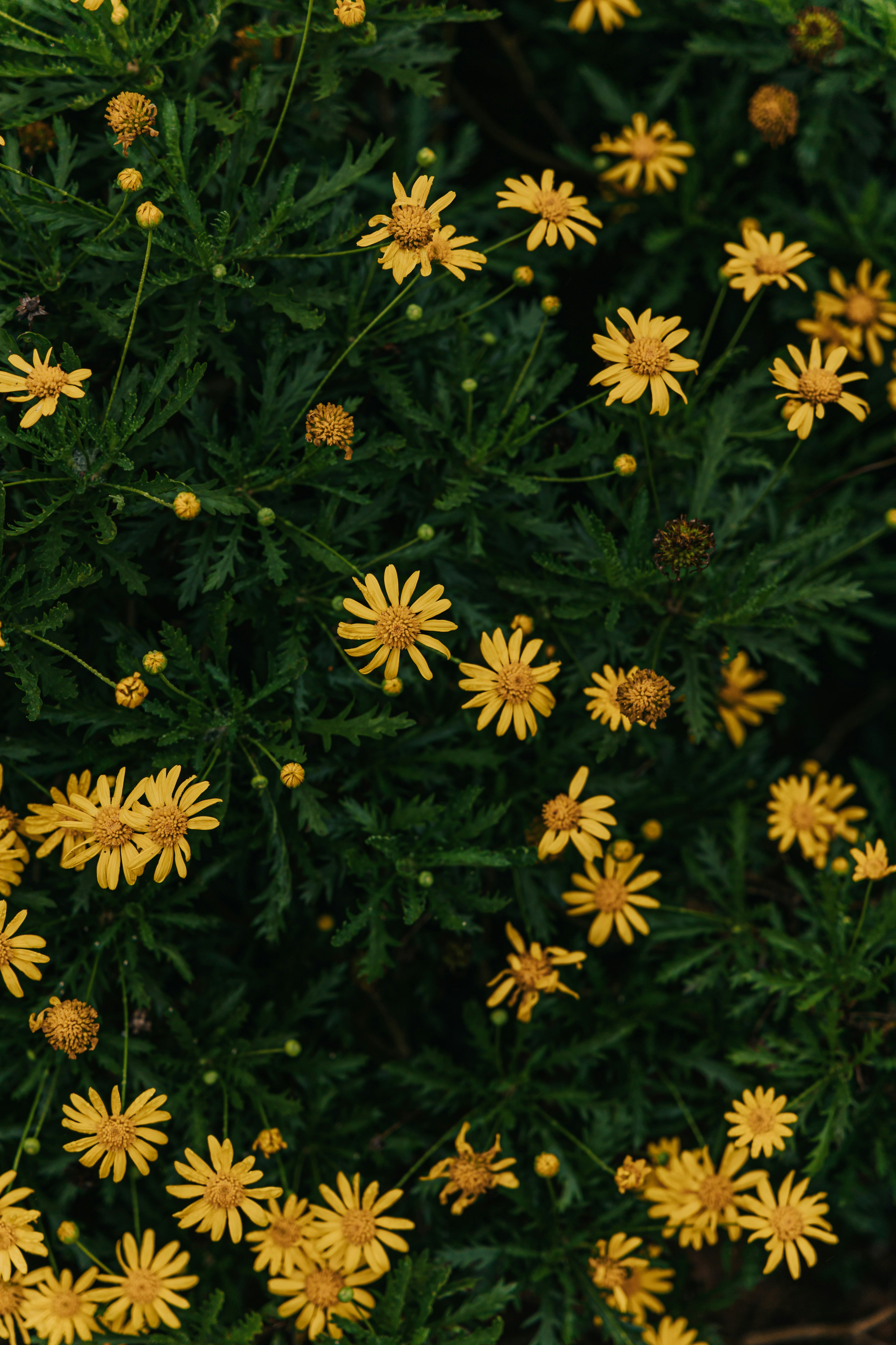 Photo by hieuanhcauam