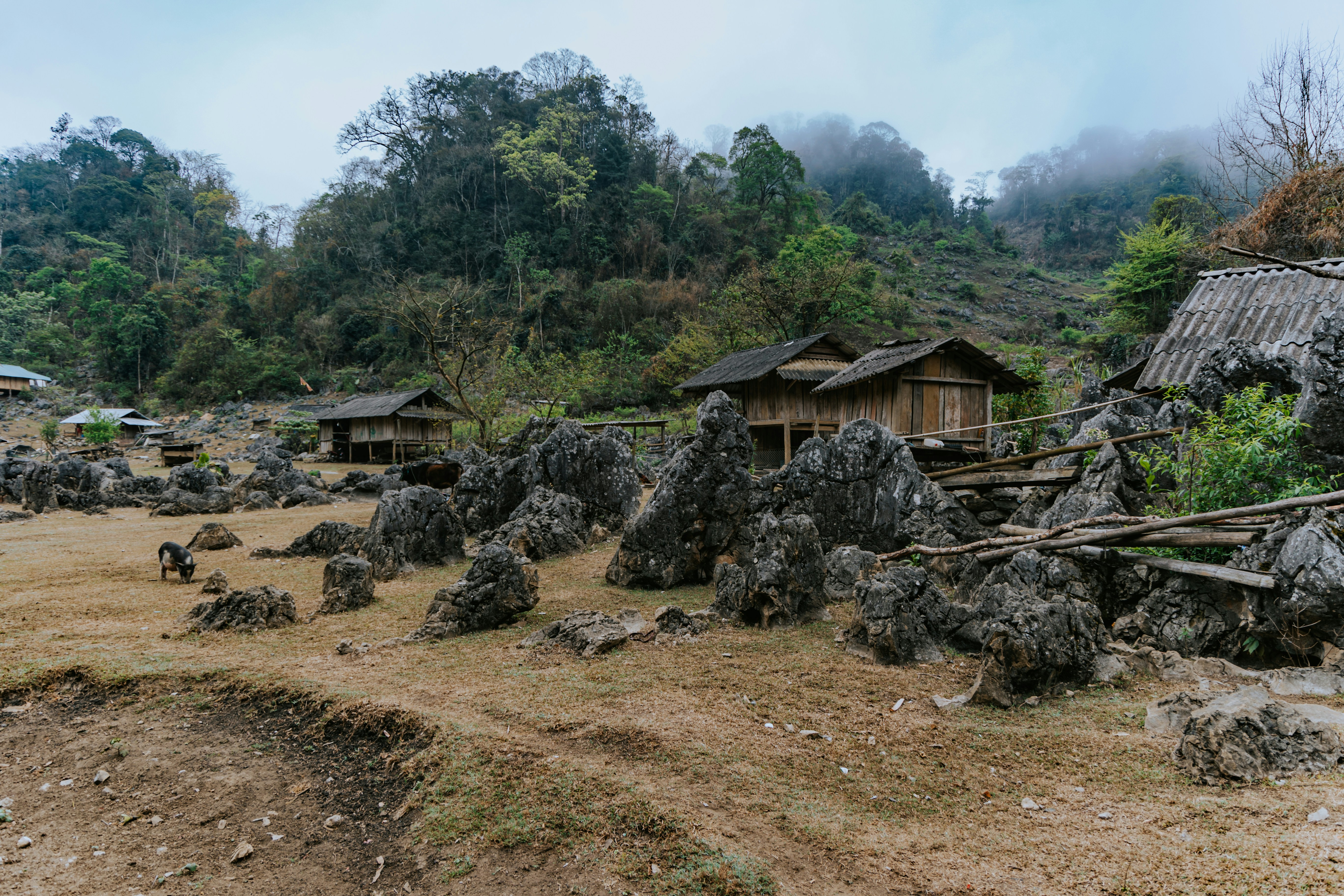 Photo by hieuanhcauam