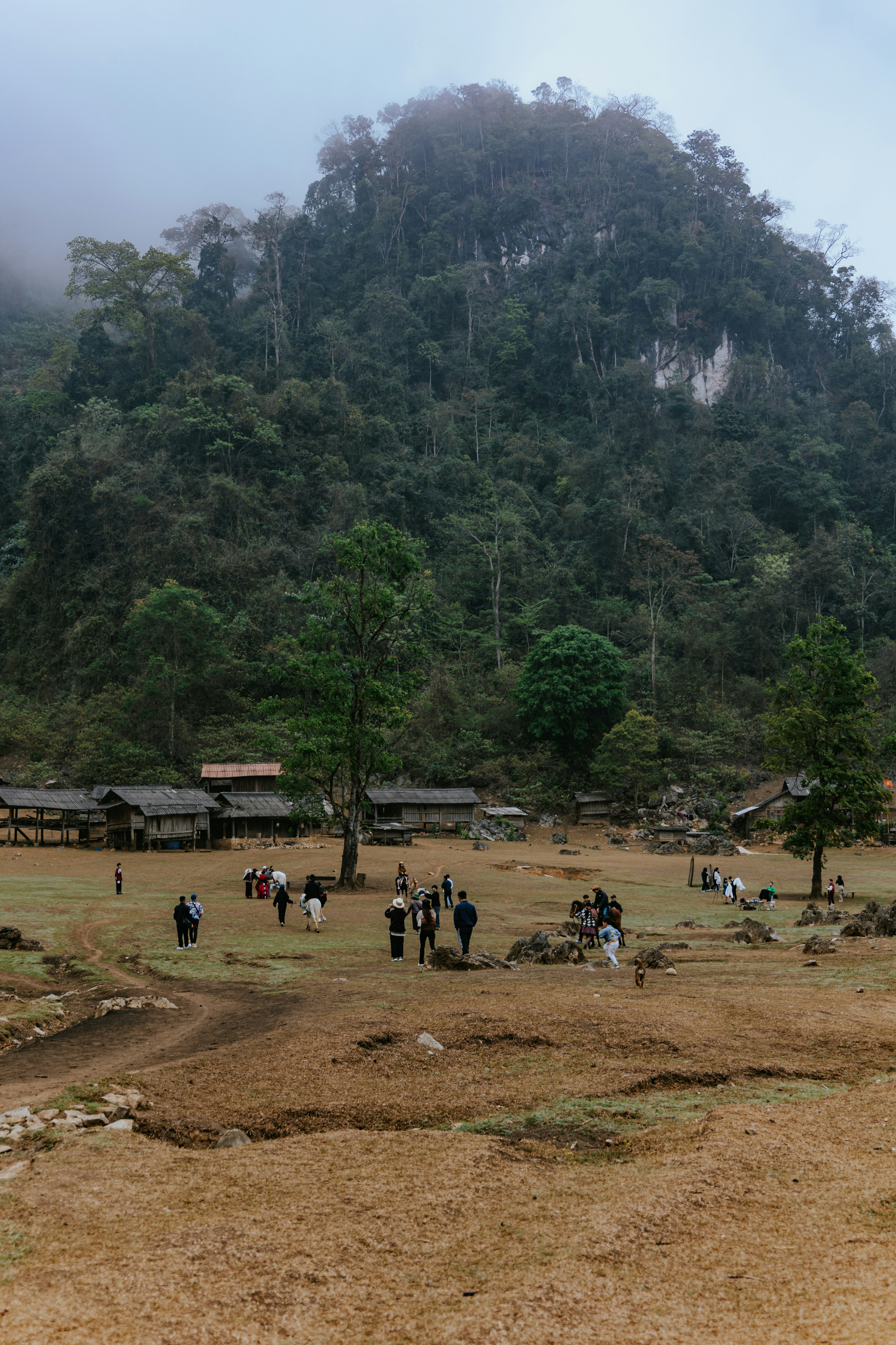 Photo by hieuanhcauam