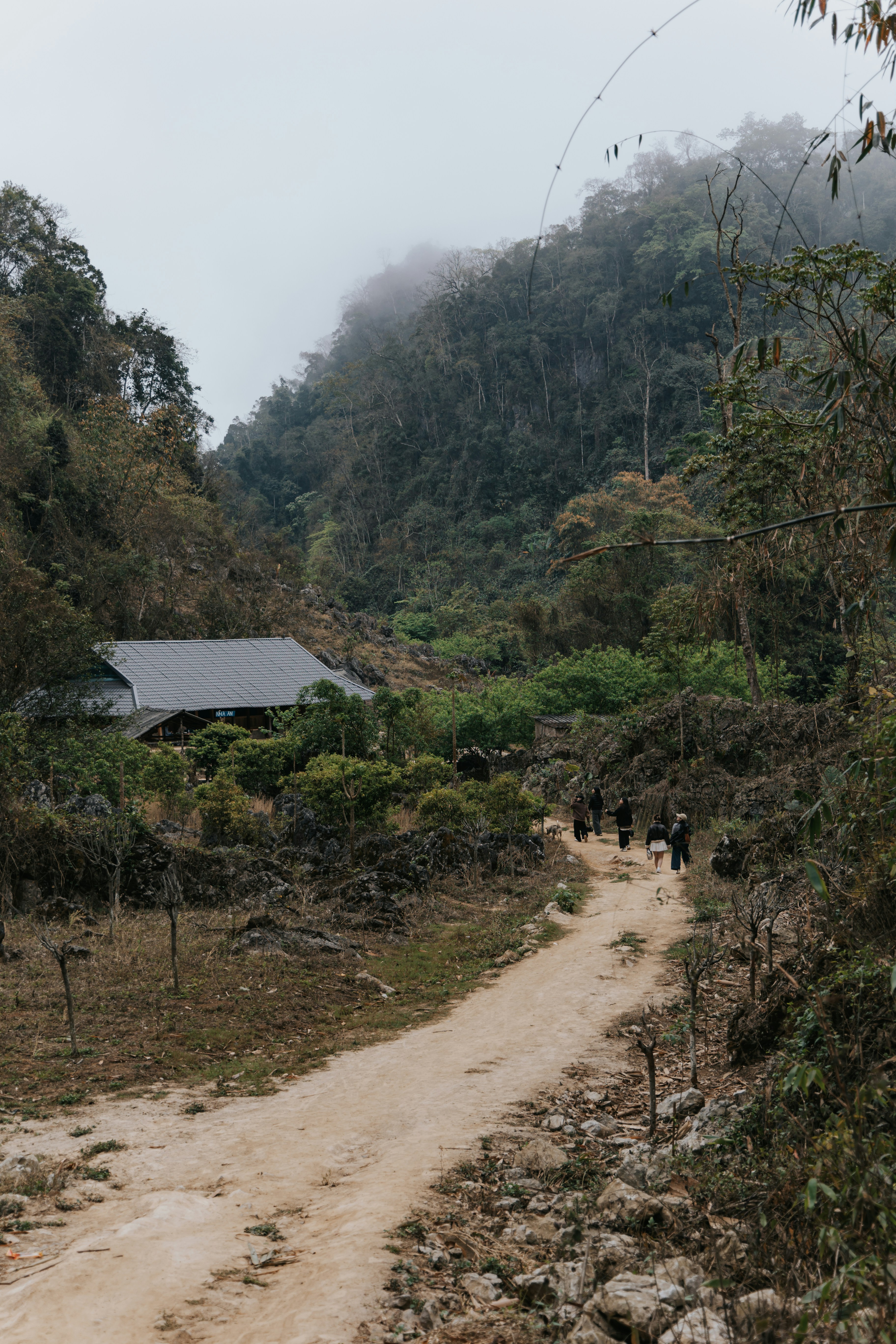 Photo by hieuanhcauam