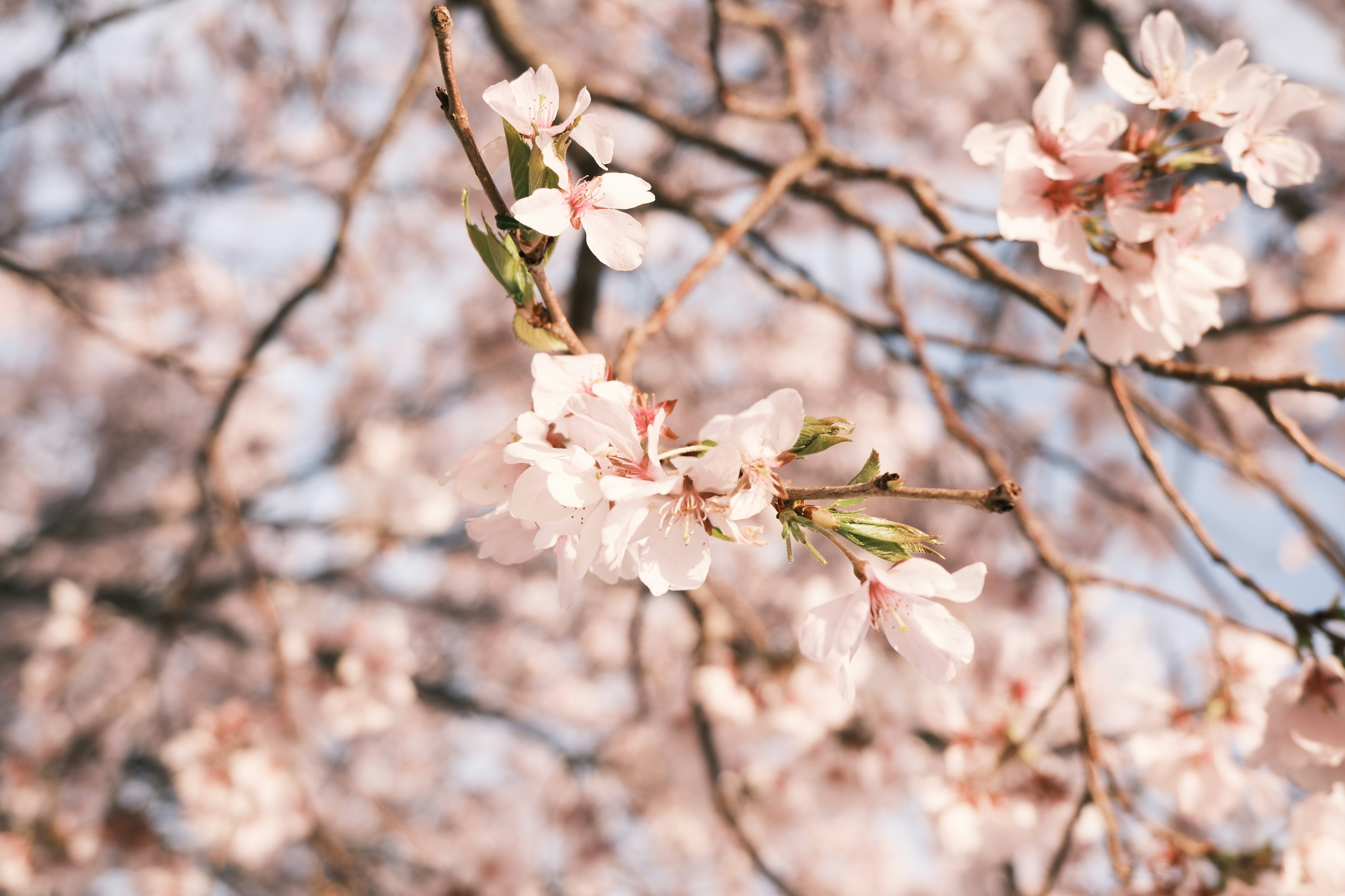 Photo by hanningchen