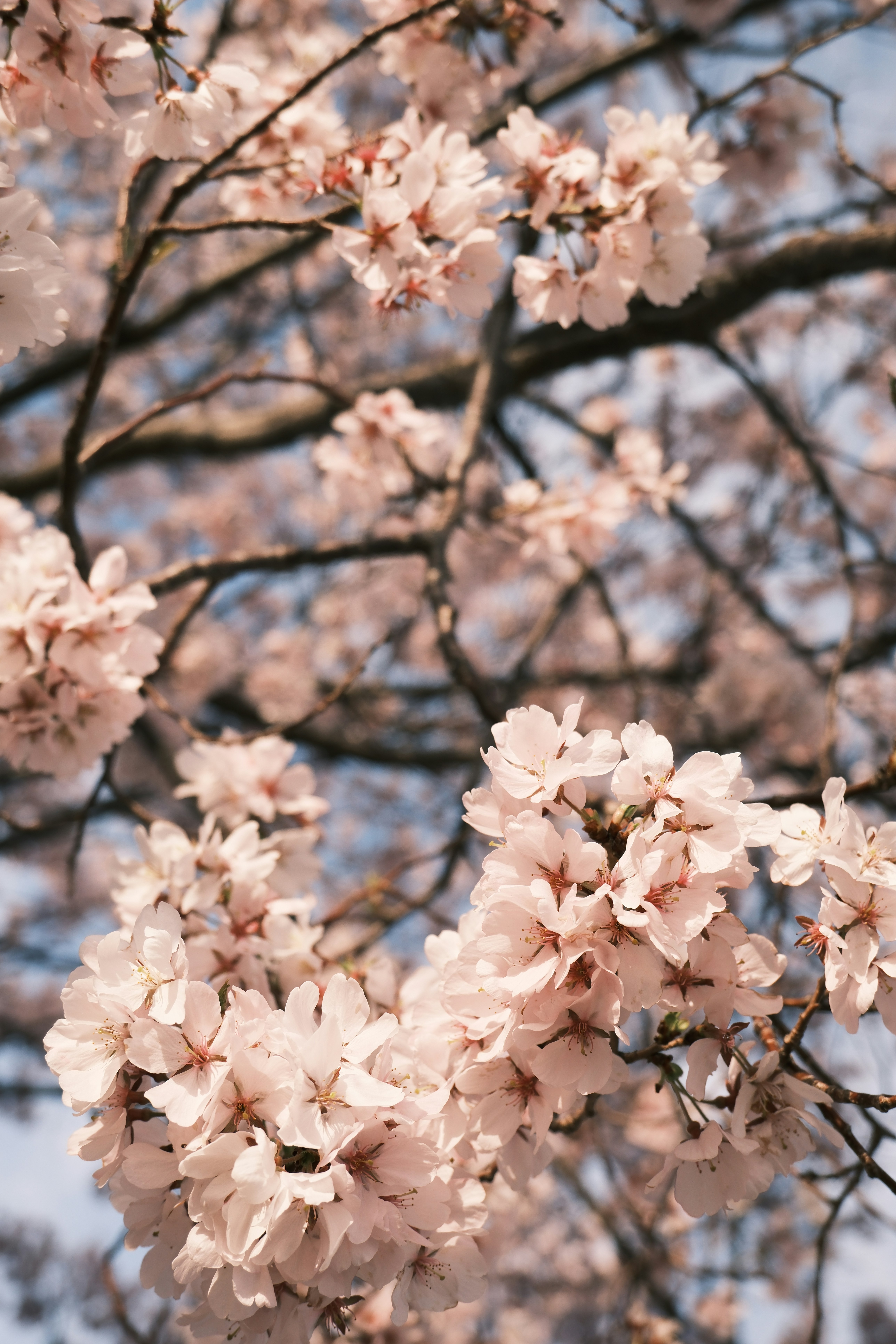 Photo by hanningchen