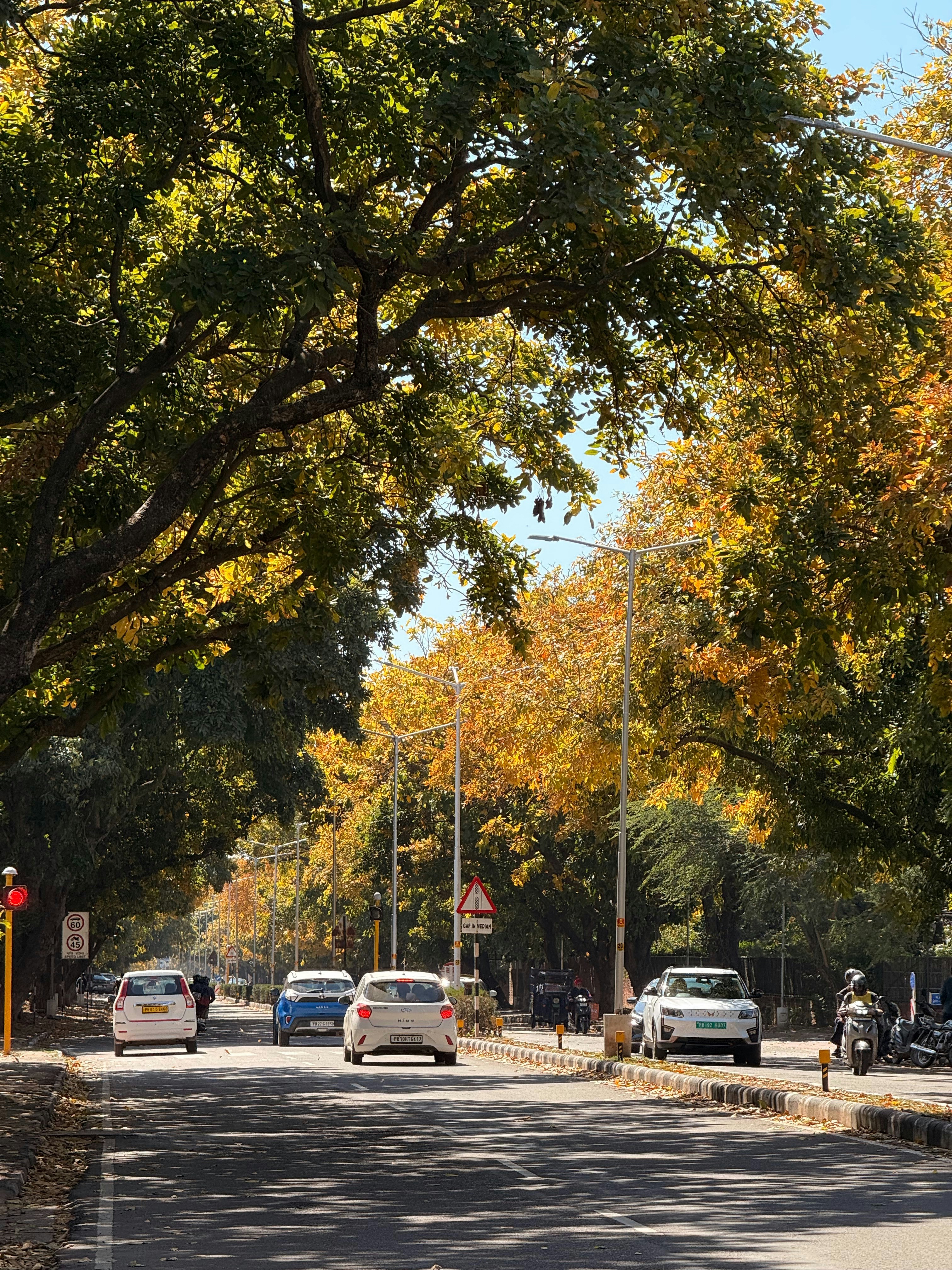 Photo by emmdeesingh