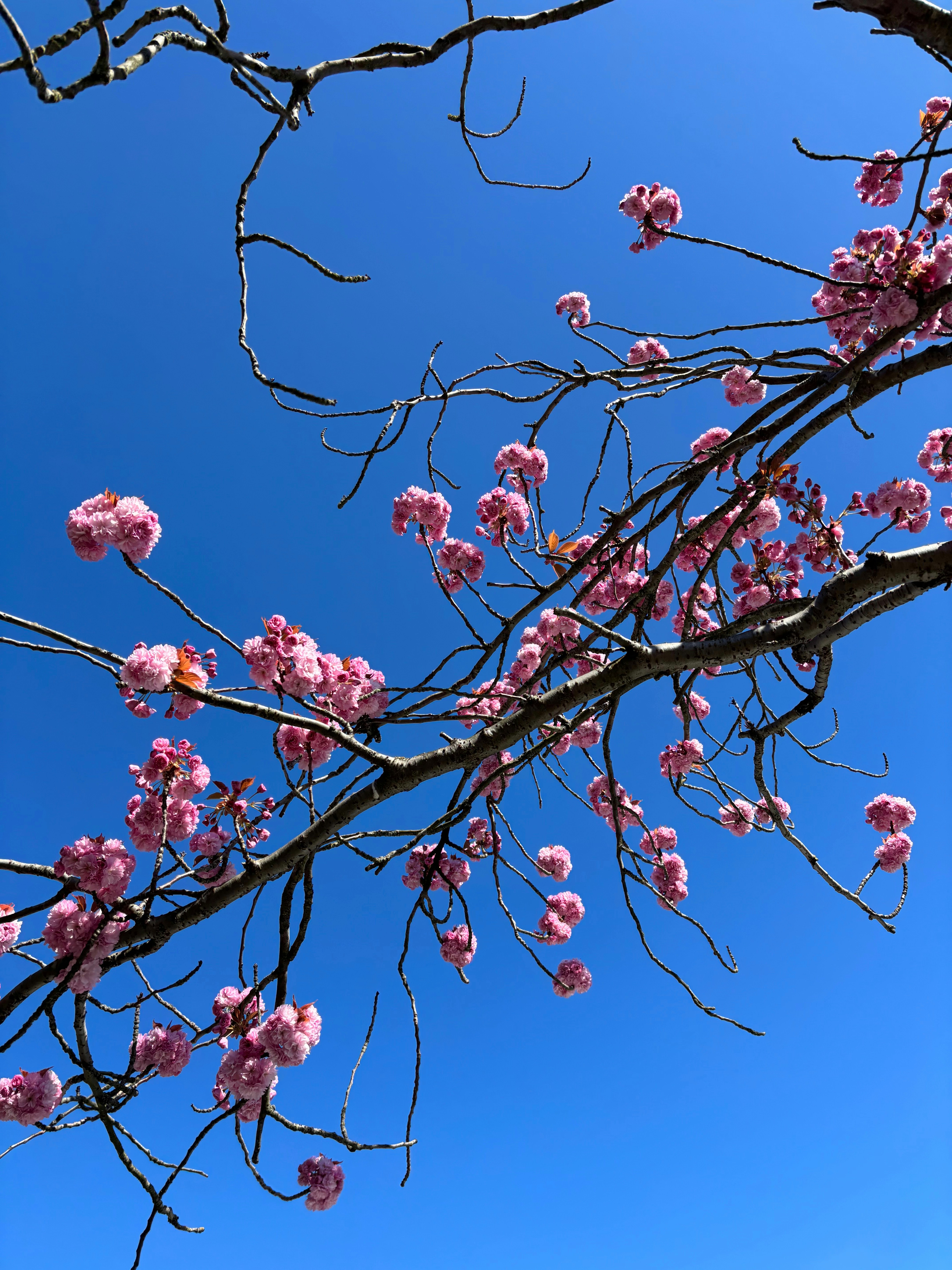 Photo by msmelaniesykes