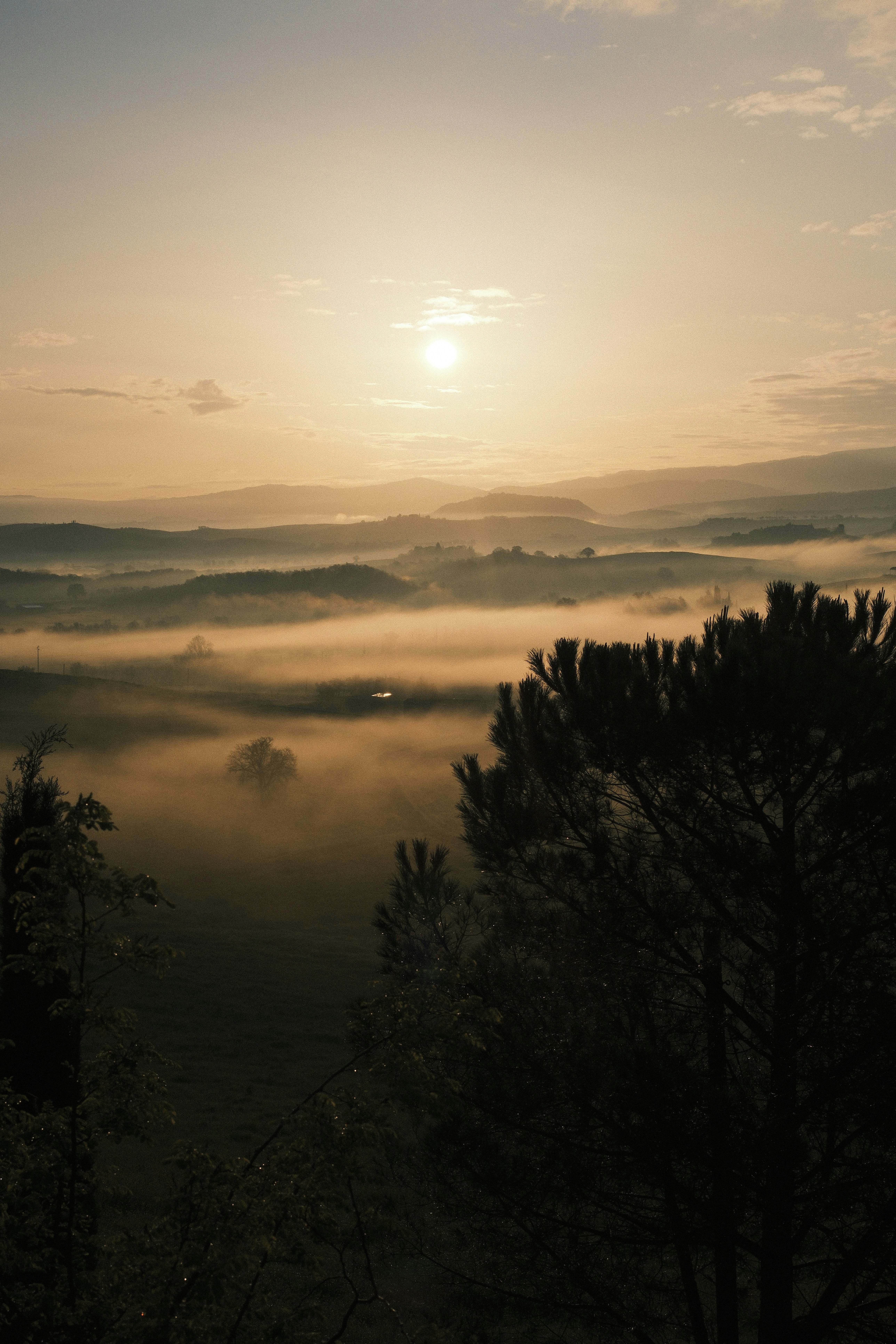 Photo by studiopizza