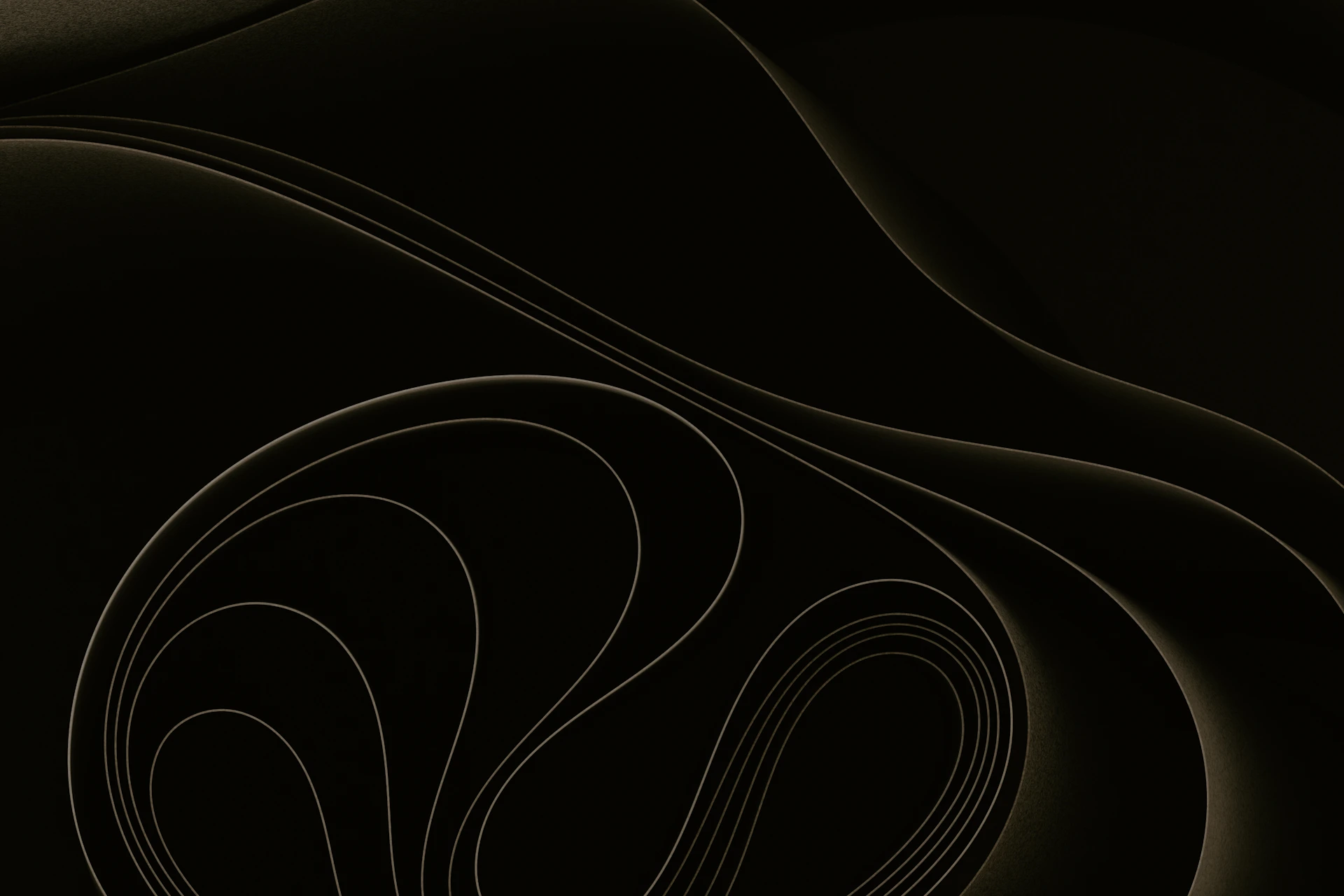 Curved black paper lines create an abstract design.