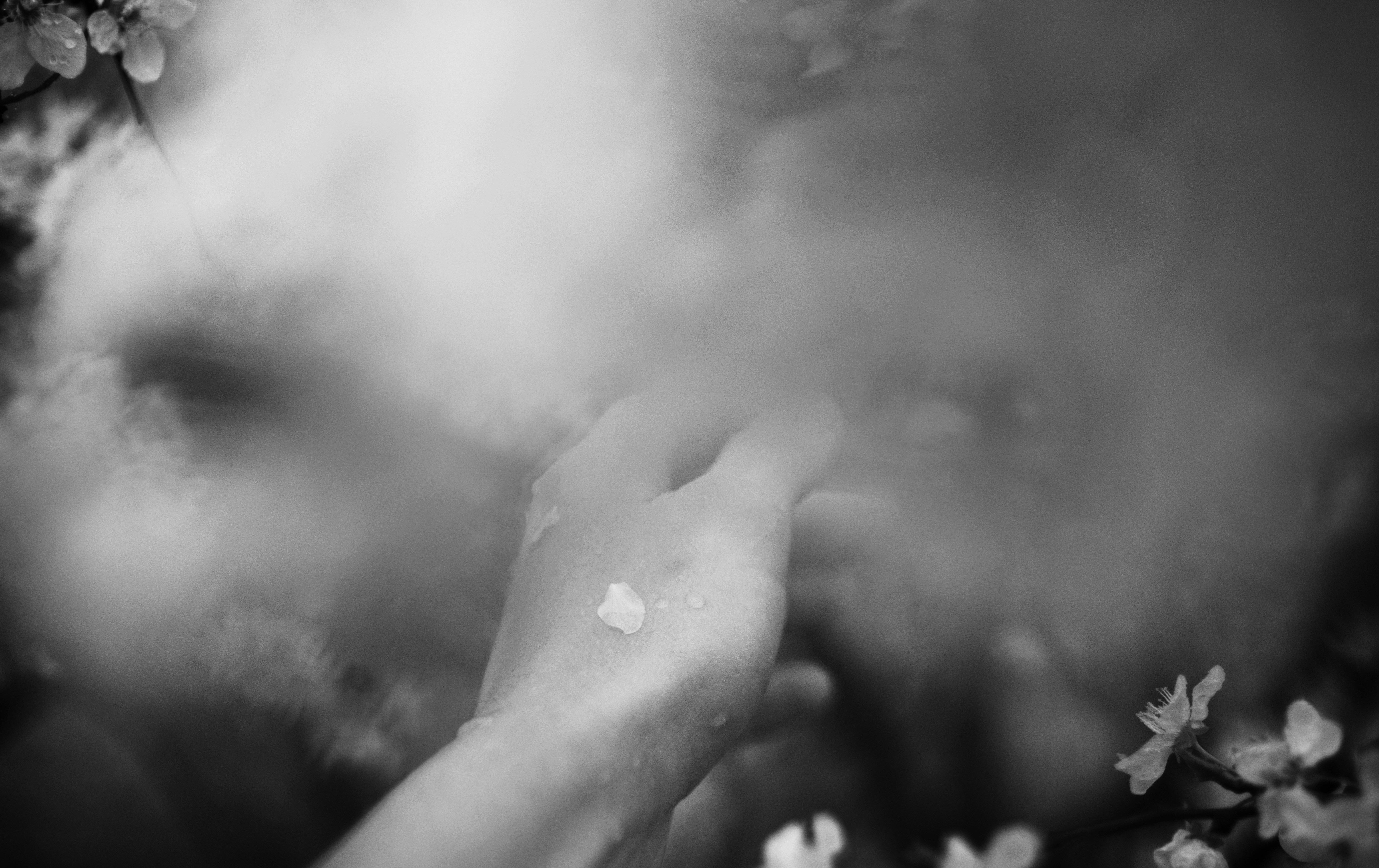 Photo by cherstve_pechivo