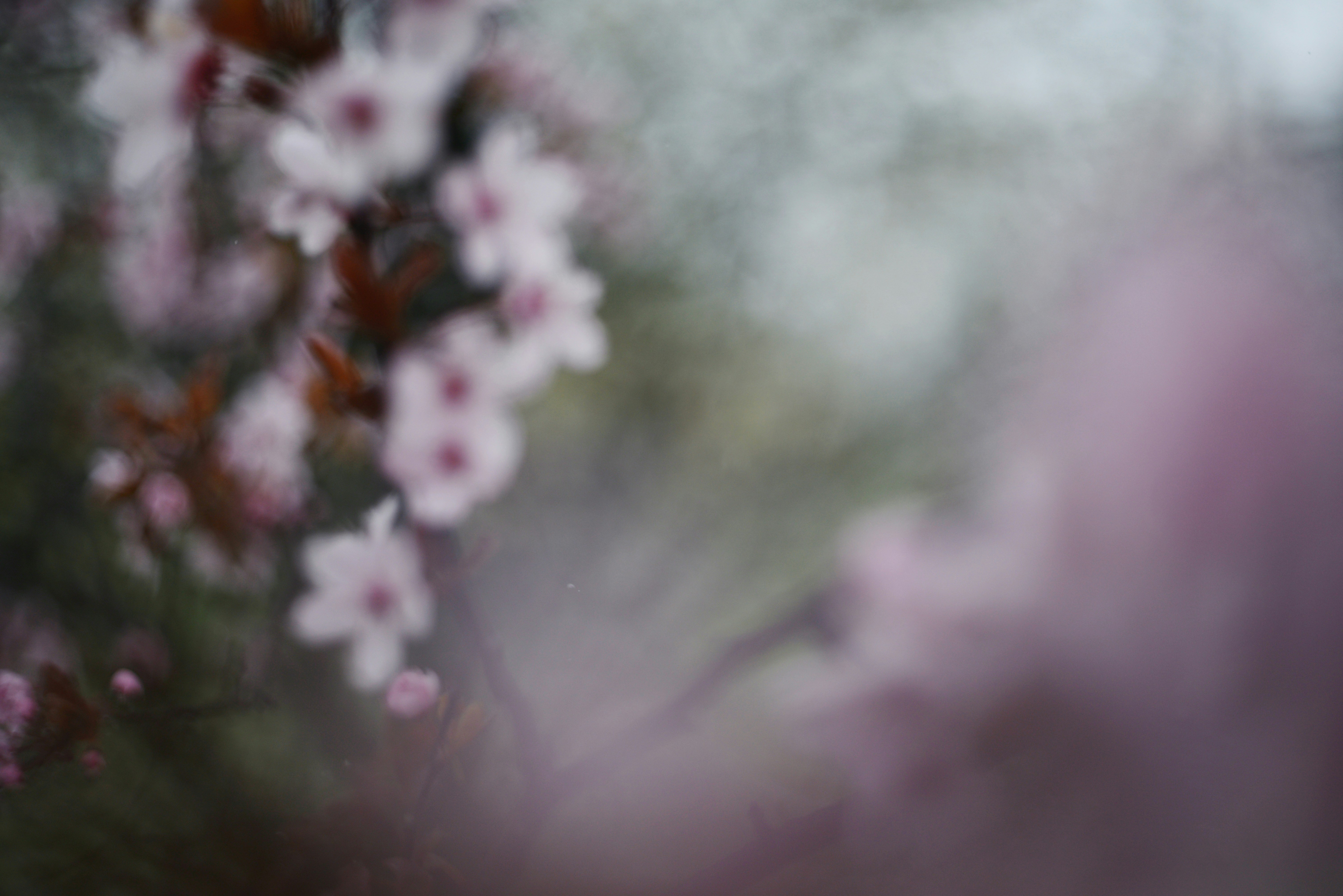 Photo by cherstve_pechivo