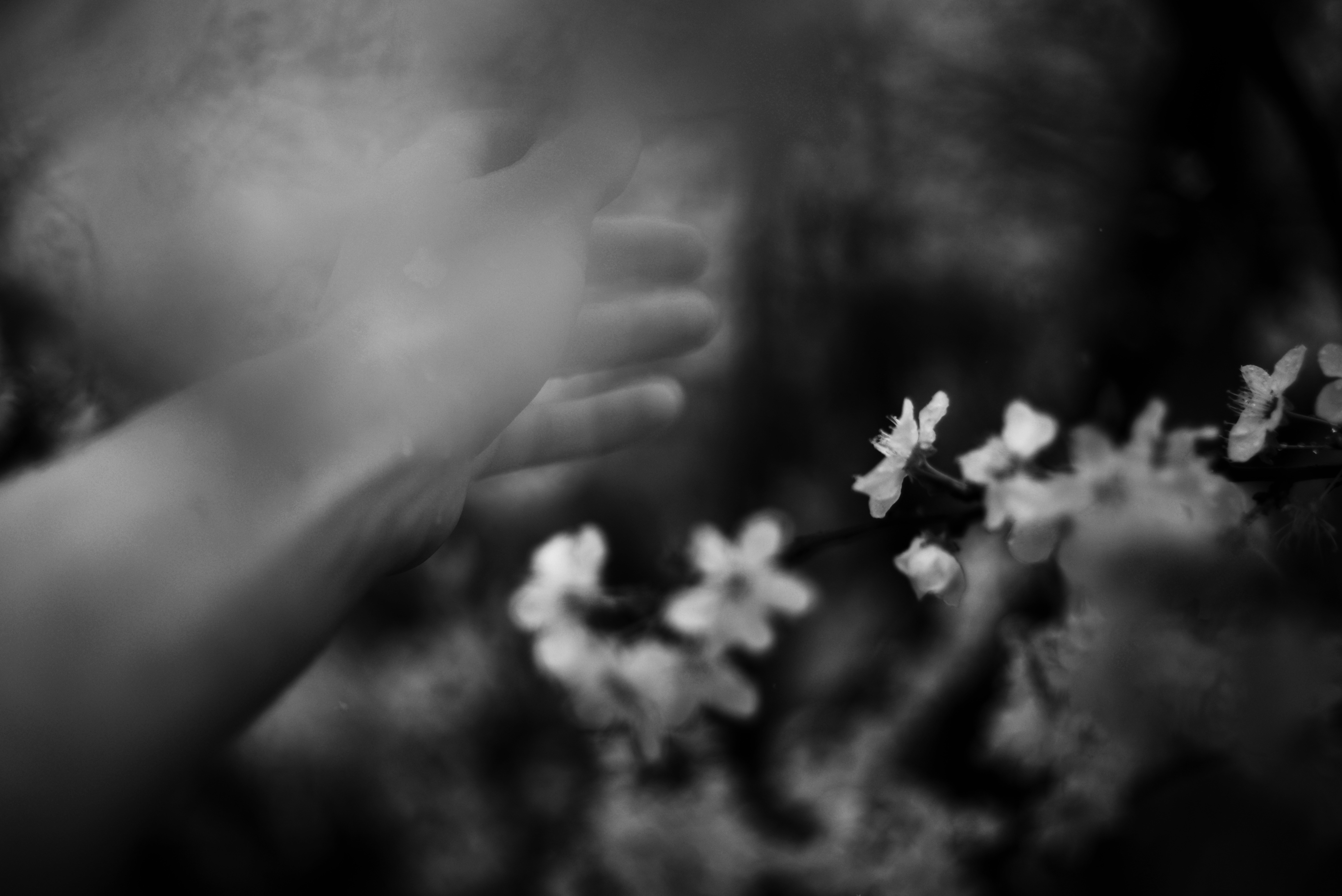 Photo by cherstve_pechivo