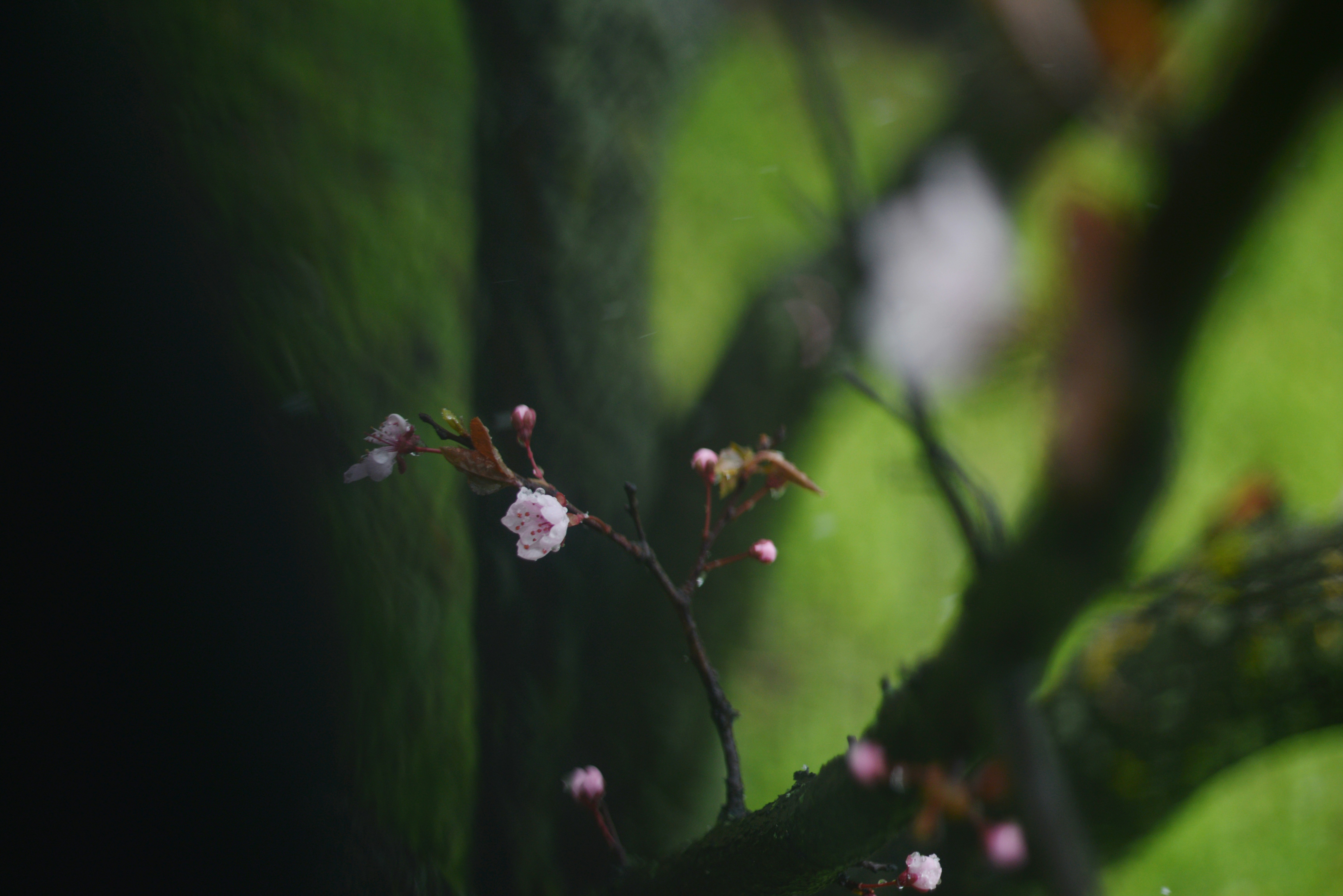 Photo by cherstve_pechivo