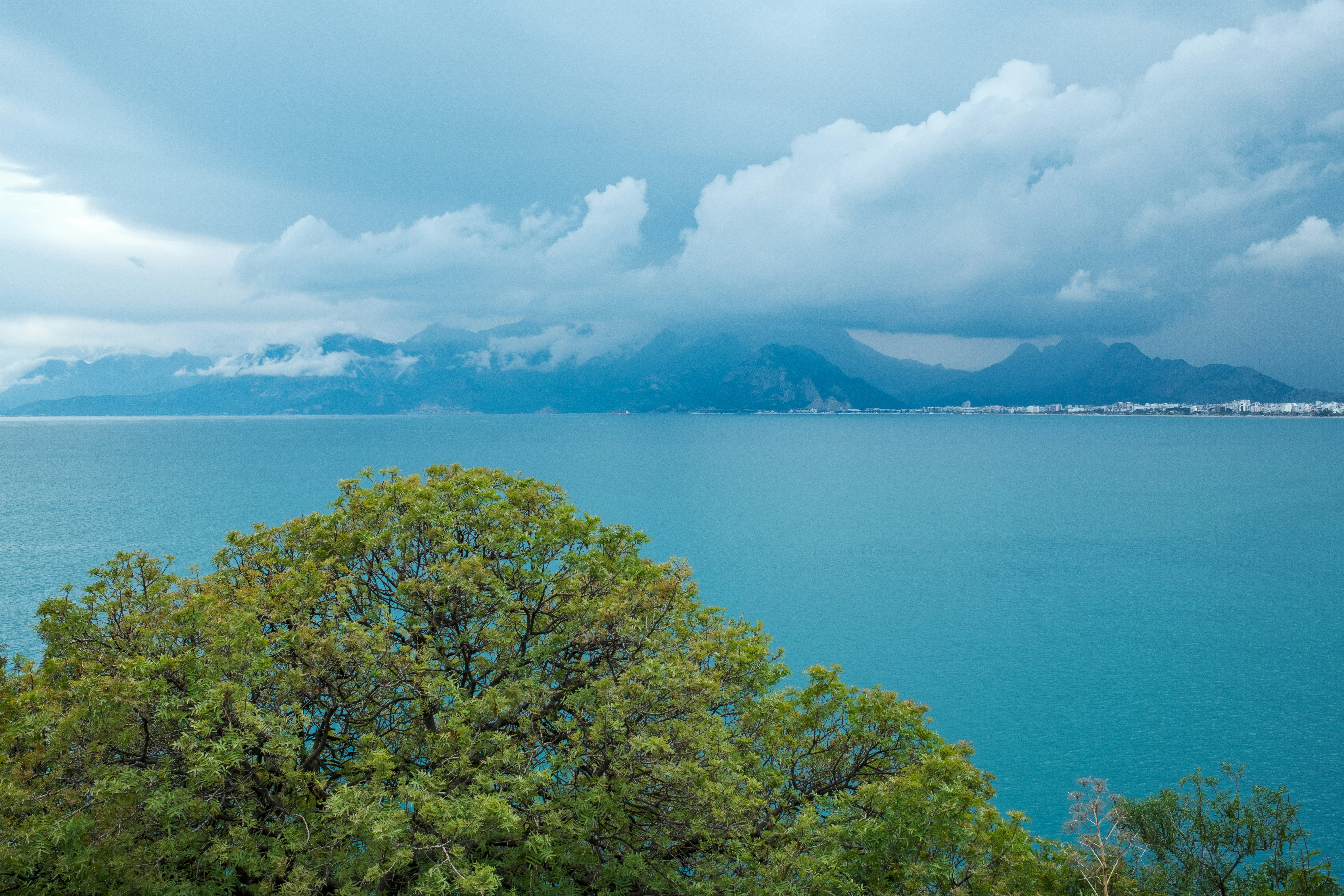 Photo by irfansimsar