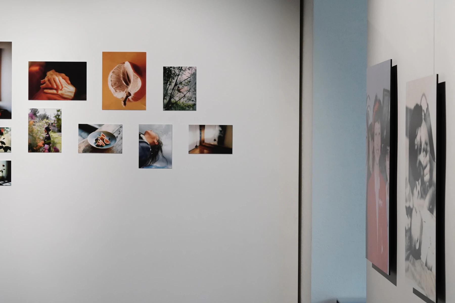 Contemporary photographs arranged across a clean white exhibition wall
