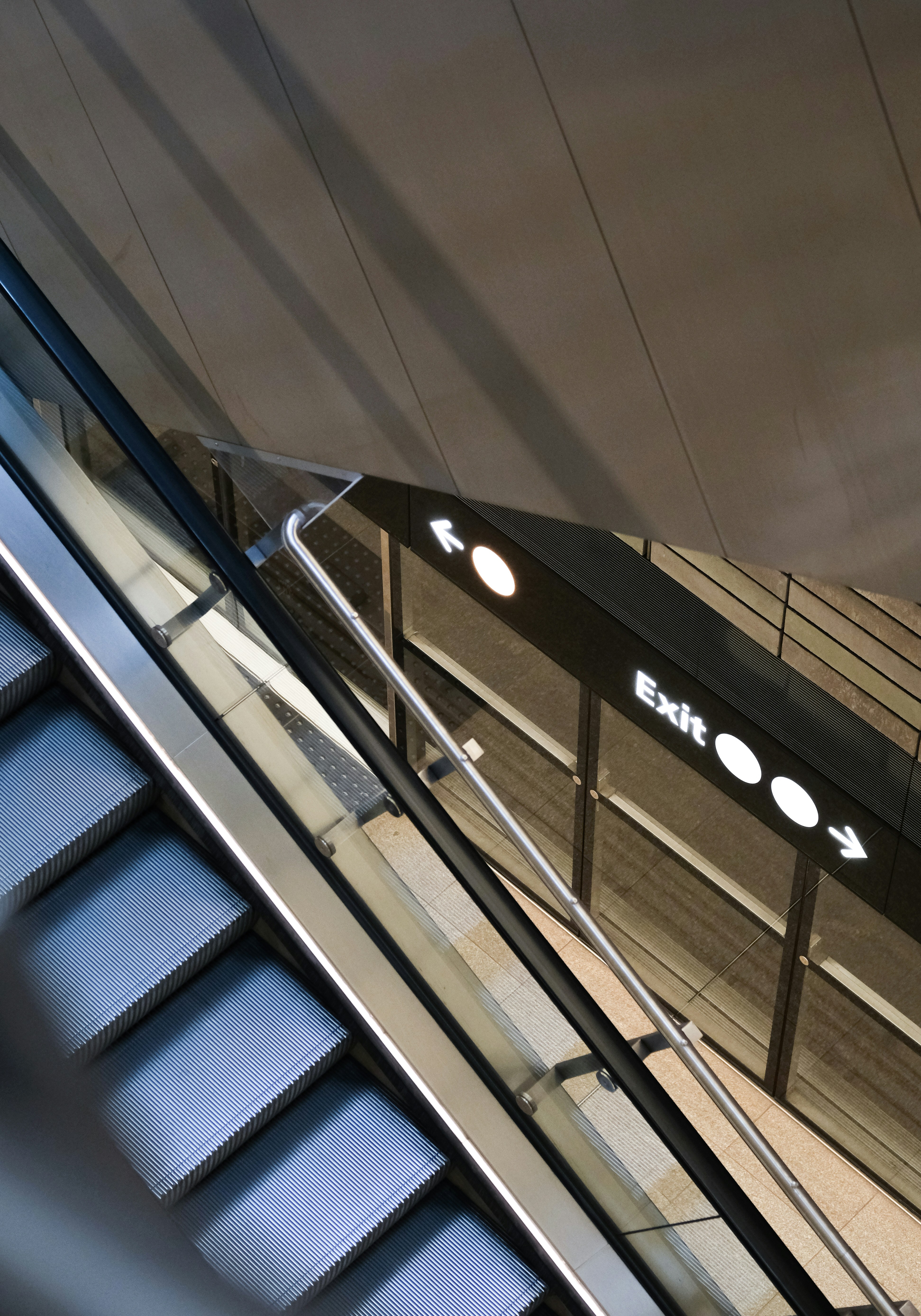 Photo by sara_thaundrdawg