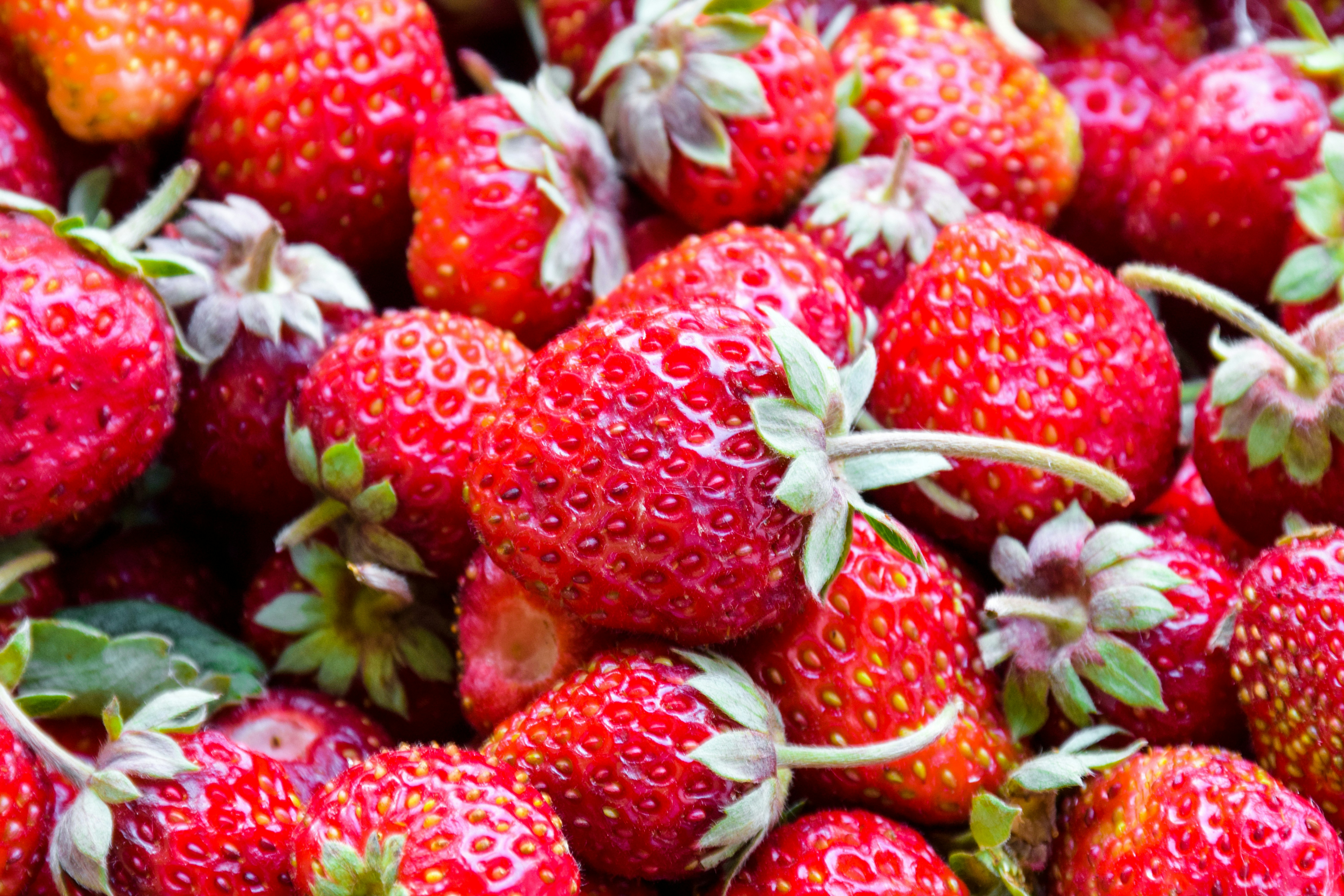 Photo by catiaclimovich